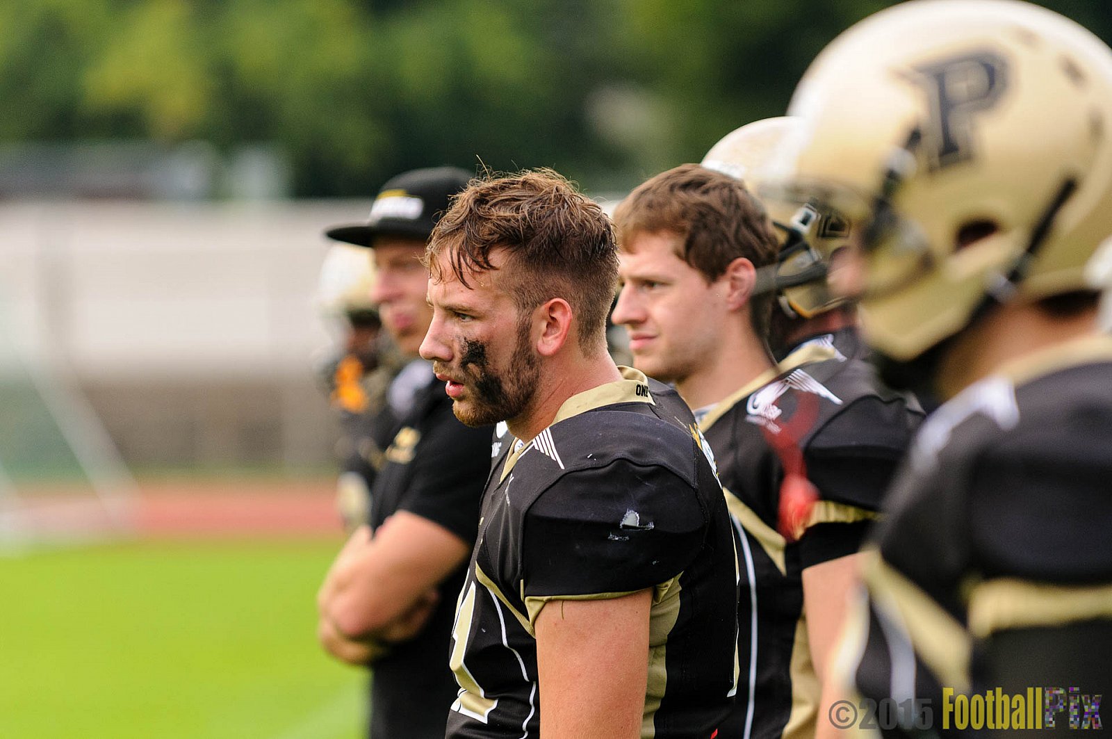 Bonn Gamecocks vs. Paderborn Dolphins - 08.08.2015 GFL2 Nord: Bonn Gamecocks vs. Paderborn Dolphins (49:35)
