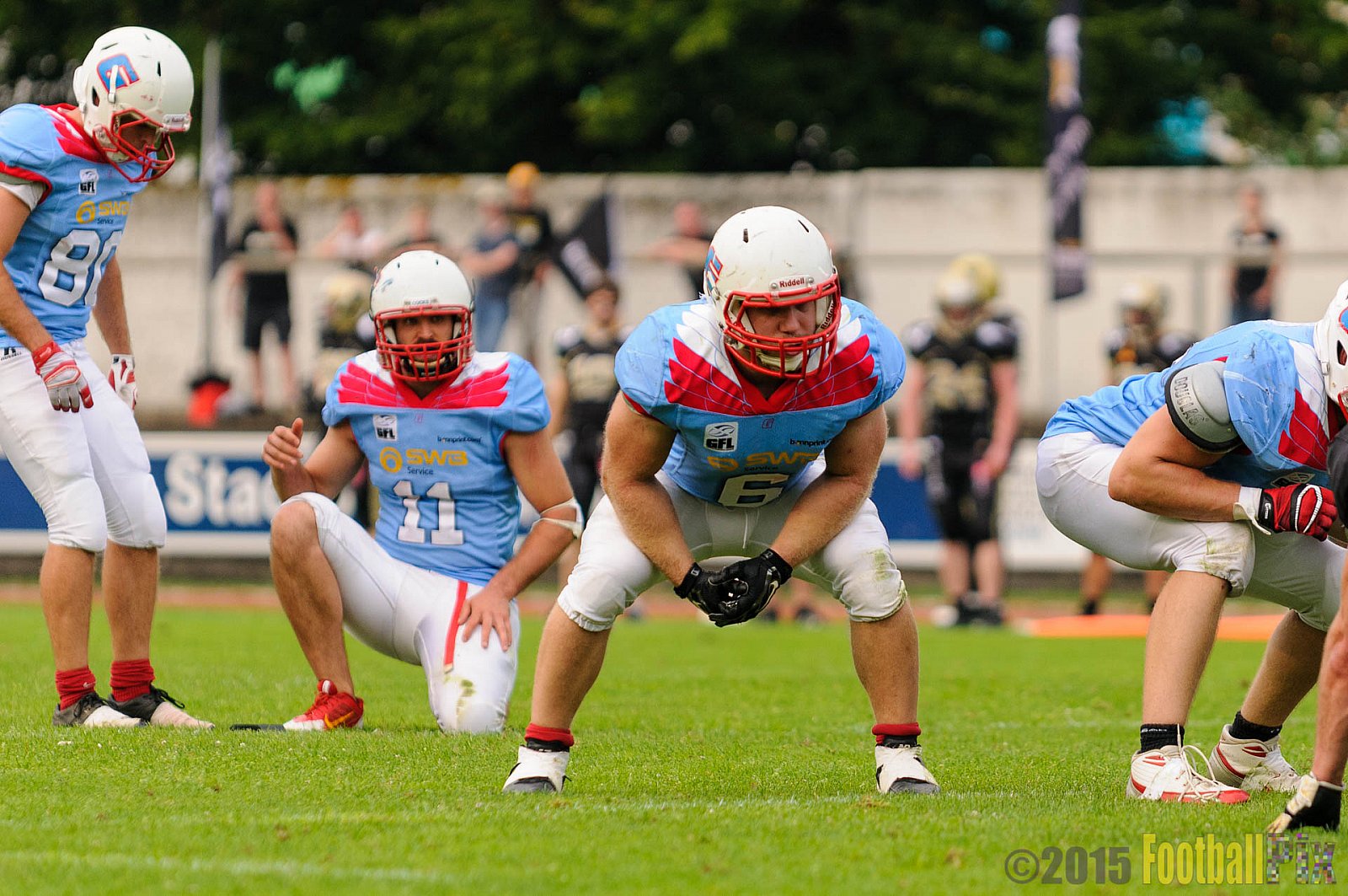 Bonn Gamecocks vs. Paderborn Dolphins - 08.08.2015 GFL2 Nord: Bonn Gamecocks vs. Paderborn Dolphins (49:35)