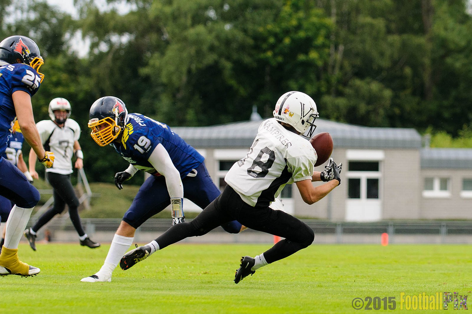 Essen Assindia Cardinals vs. Aachen Vampires - 15.08.2015 RL NRW: Essen Assindia Cardinals vs. Aachen Vampires (28:10)