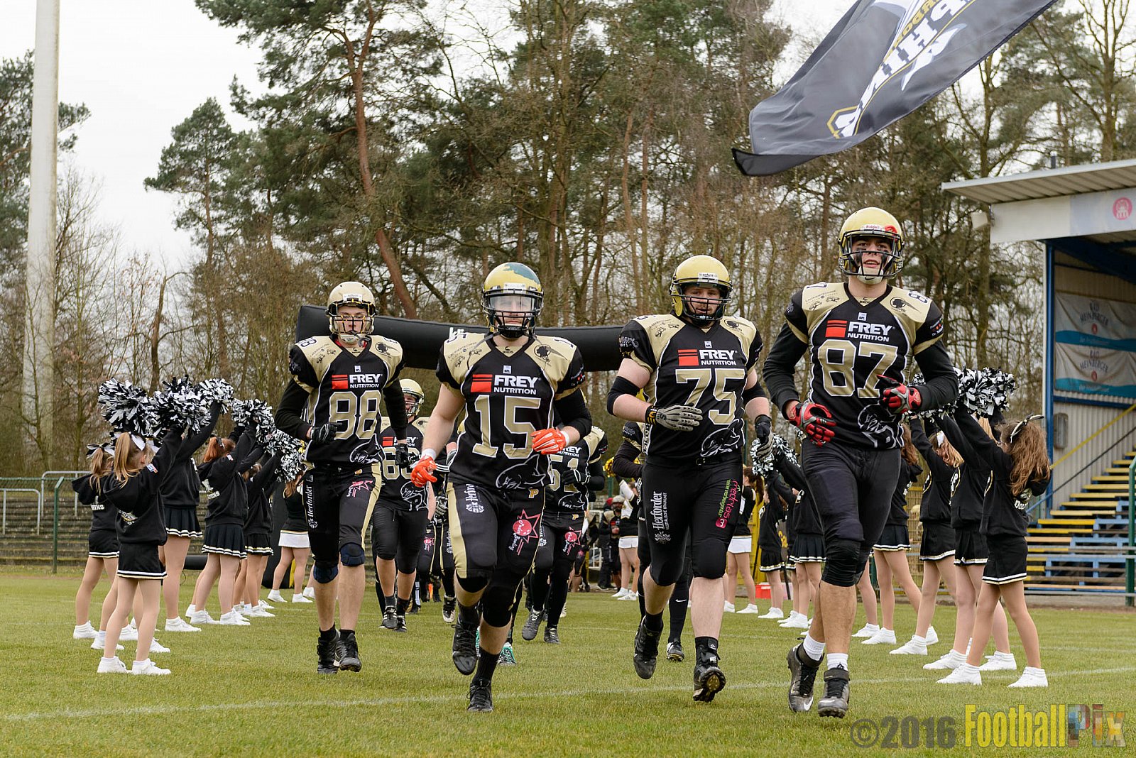 Pre-Season Game Paderborn Dolphins vs. Solingen Paladins - 20.03.2016 Pre-Season Game: Paderborn Dolphins vs. Solingen Paladins (21:6)