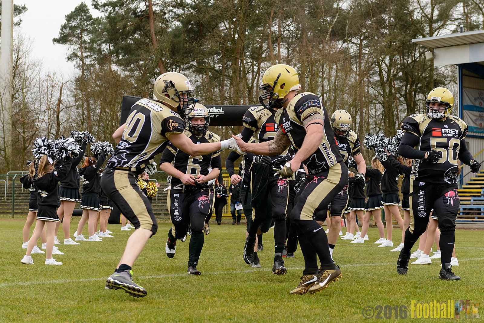 Pre-Season Game Paderborn Dolphins vs. Solingen Paladins - 20.03.2016 Pre-Season Game: Paderborn Dolphins vs. Solingen Paladins (21:6)