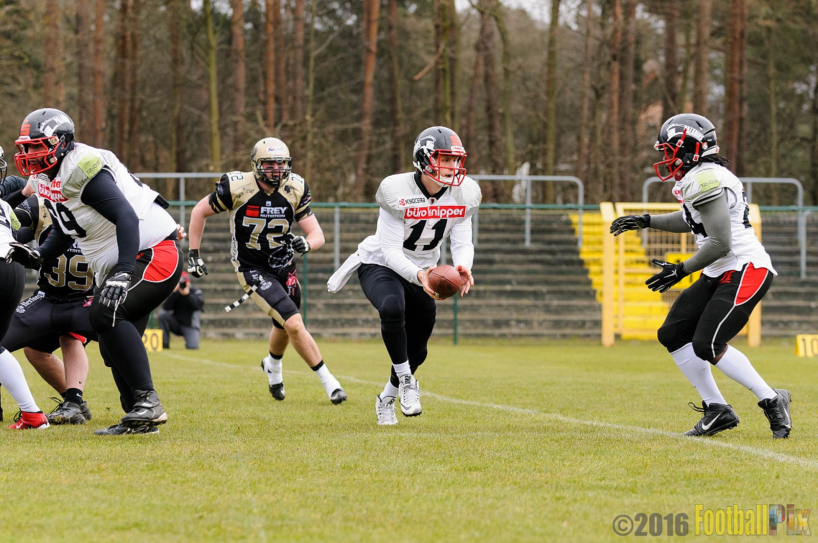 Pre-Season Game Paderborn Dolphins vs. Solingen Paladins - 20.03.2016 Pre-Season Game: Paderborn Dolphins vs. Solingen Paladins (21:6)