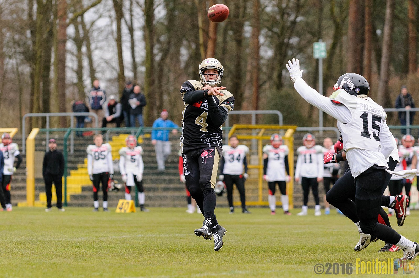 Pre-Season Game Paderborn Dolphins vs. Solingen Paladins - 20.03.2016 Pre-Season Game: Paderborn Dolphins vs. Solingen Paladins (21:6)