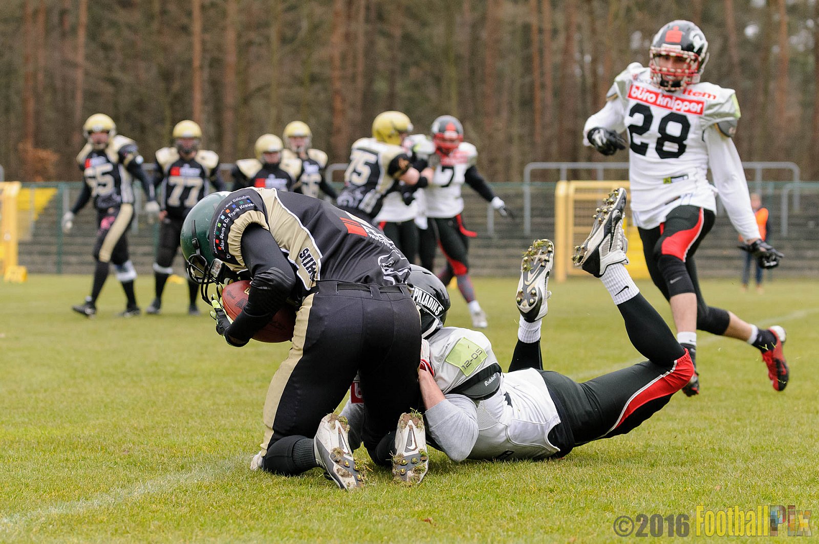 Pre-Season Game Paderborn Dolphins vs. Solingen Paladins - 20.03.2016 Pre-Season Game: Paderborn Dolphins vs. Solingen Paladins (21:6)
