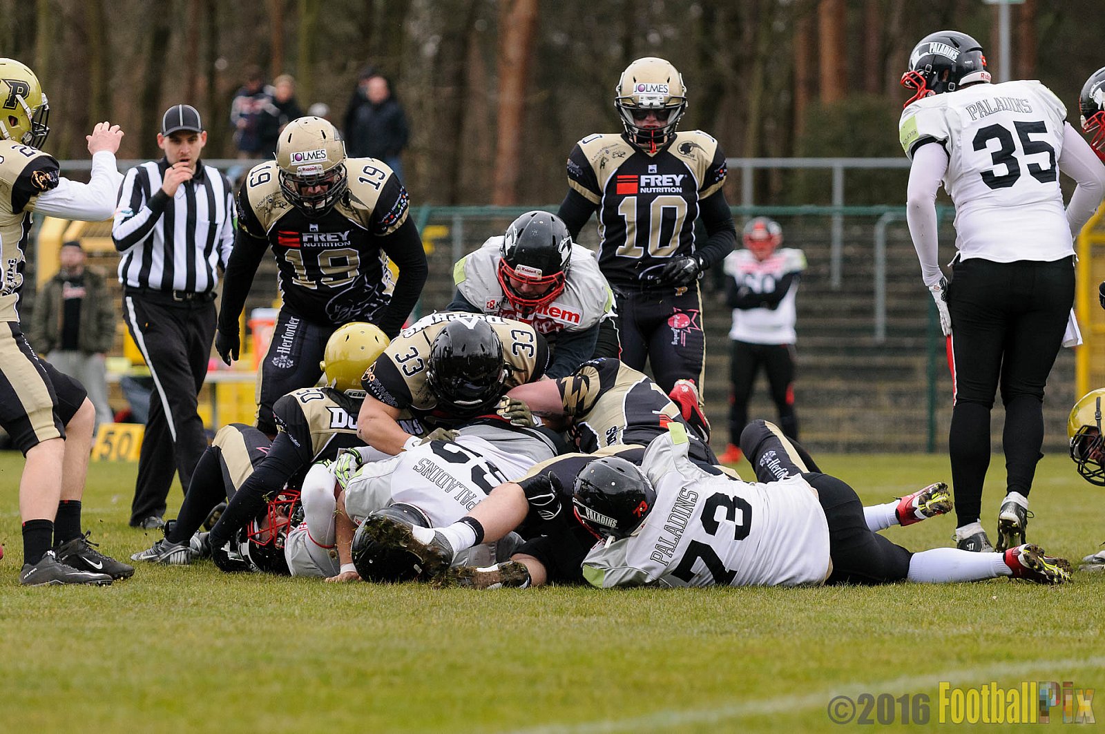 Pre-Season Game Paderborn Dolphins vs. Solingen Paladins - 20.03.2016 Pre-Season Game: Paderborn Dolphins vs. Solingen Paladins (21:6)