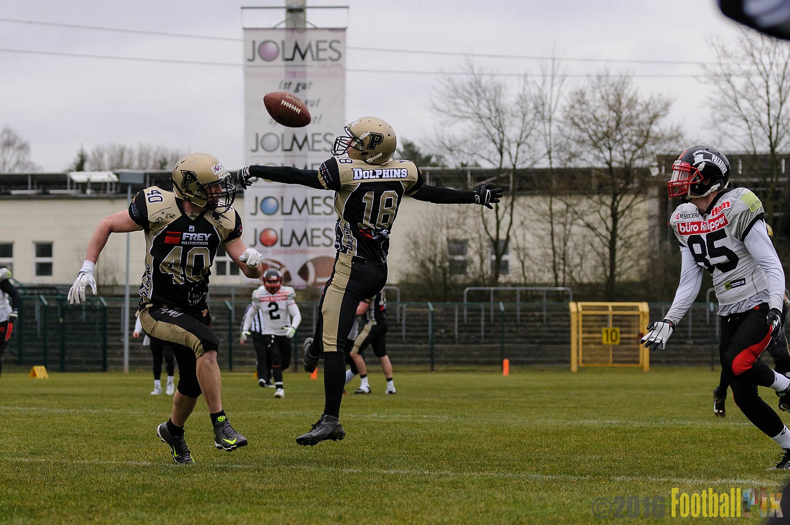 Pre-Season Game Paderborn Dolphins vs. Solingen Paladins - 20.03.2016 Pre-Season Game: Paderborn Dolphins vs. Solingen Paladins (21:6)