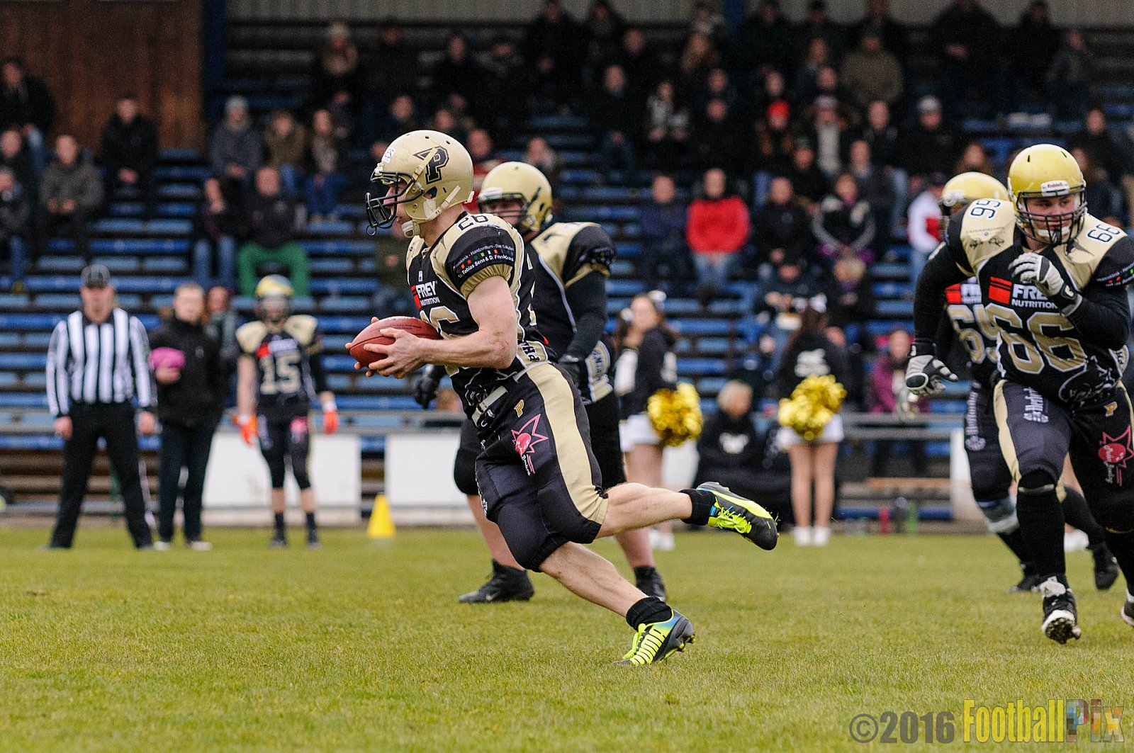 Pre-Season Game Paderborn Dolphins vs. Solingen Paladins - 20.03.2016 Pre-Season Game: Paderborn Dolphins vs. Solingen Paladins (21:6)