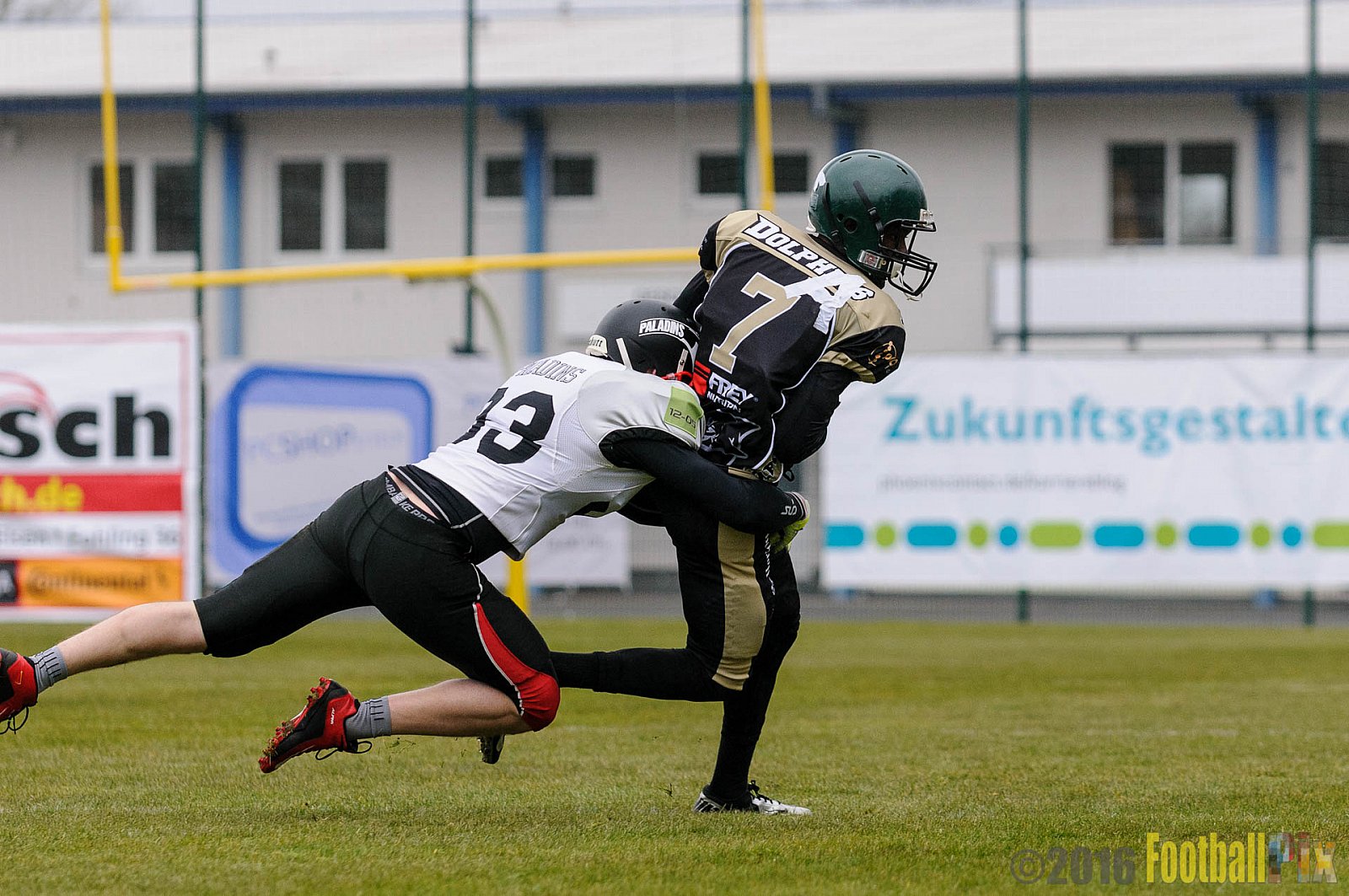 Pre-Season Game Paderborn Dolphins vs. Solingen Paladins - 20.03.2016 Pre-Season Game: Paderborn Dolphins vs. Solingen Paladins (21:6)
