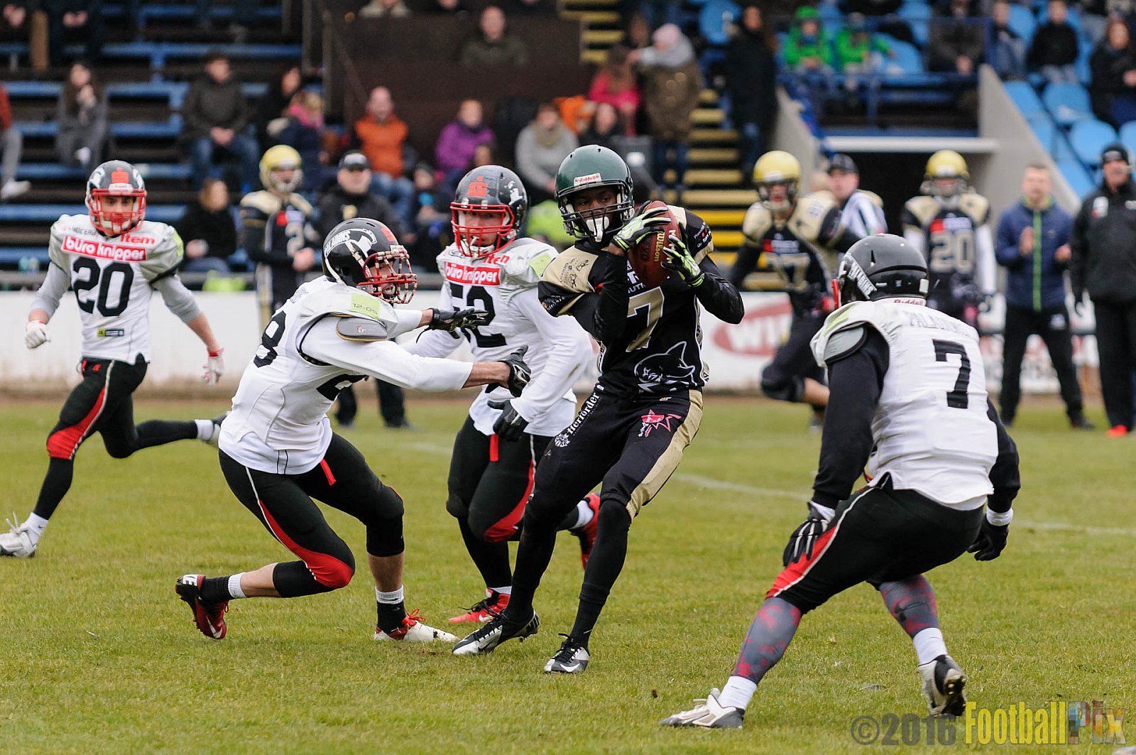 Pre-Season Game Paderborn Dolphins vs. Solingen Paladins - 20.03.2016 Pre-Season Game: Paderborn Dolphins vs. Solingen Paladins (21:6)