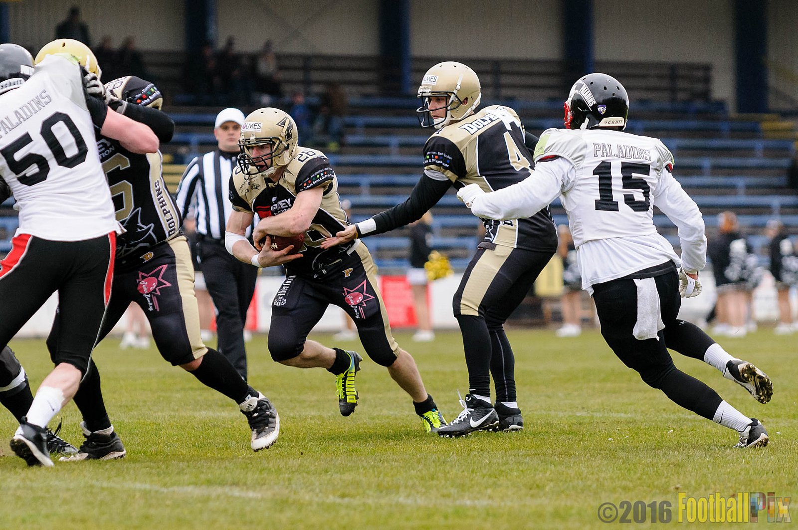 Pre-Season Game Paderborn Dolphins vs. Solingen Paladins - 20.03.2016 Pre-Season Game: Paderborn Dolphins vs. Solingen Paladins (21:6)