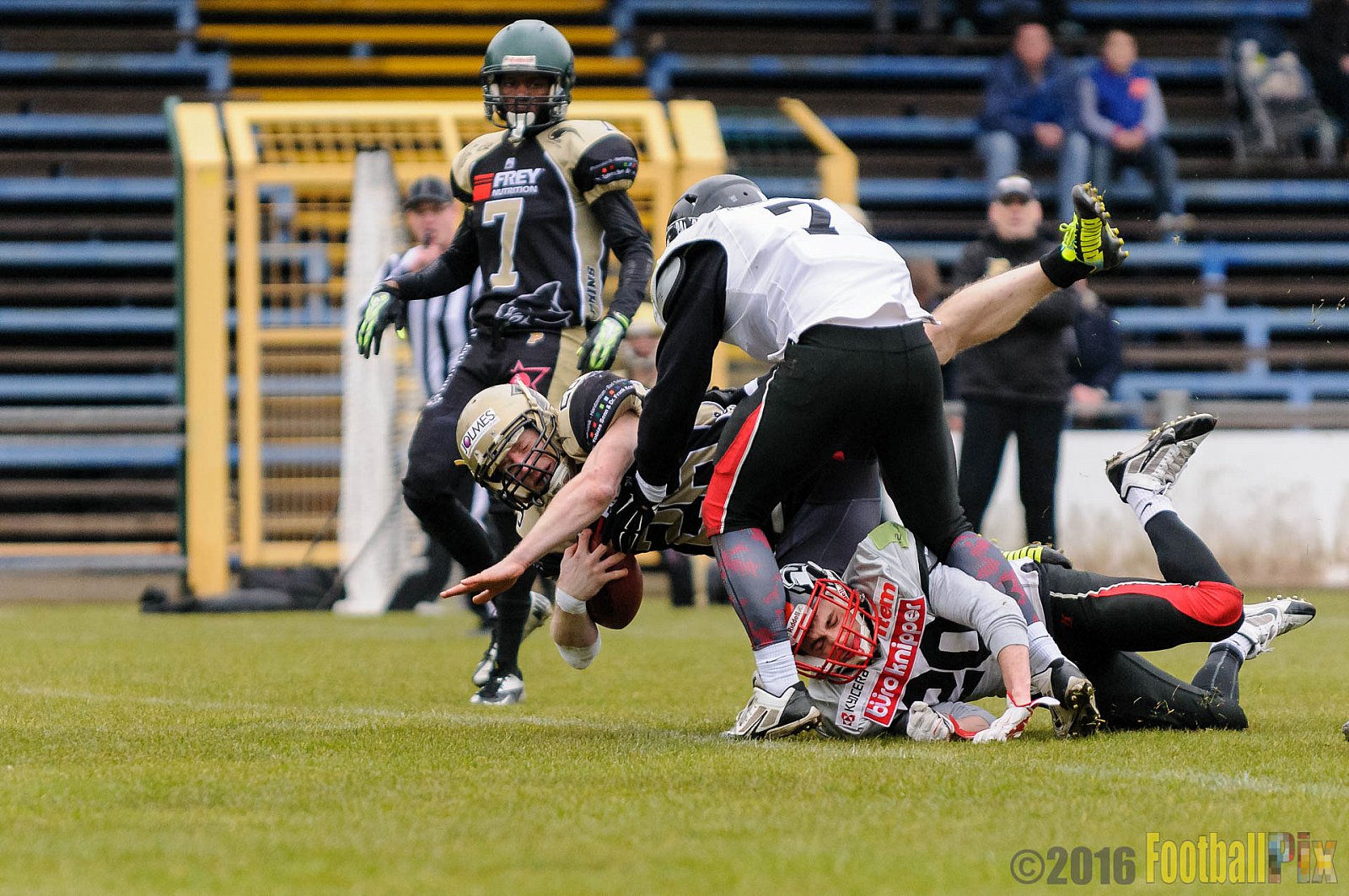 Pre-Season Game Paderborn Dolphins vs. Solingen Paladins - 20.03.2016 Pre-Season Game: Paderborn Dolphins vs. Solingen Paladins (21:6)