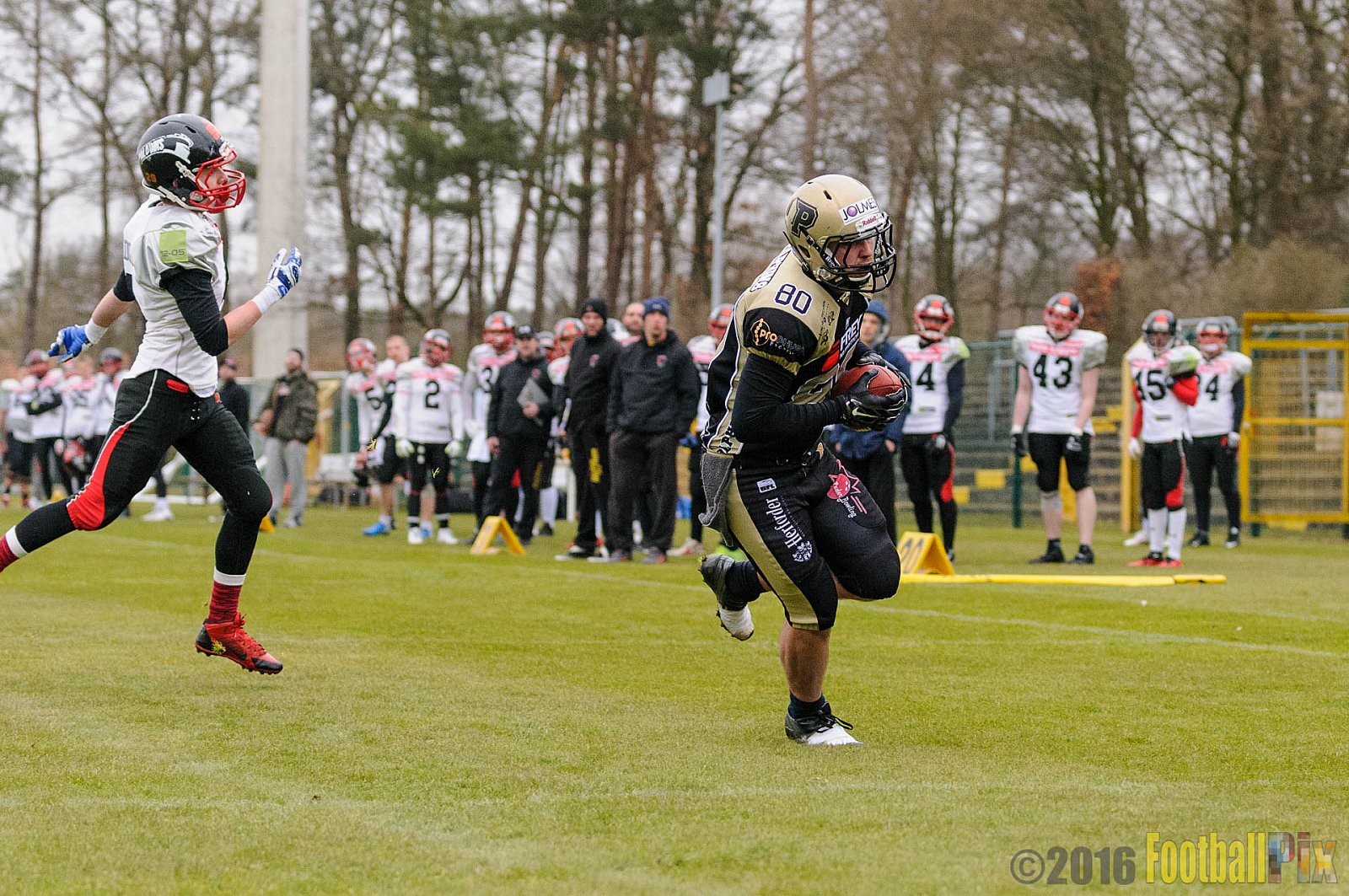 Pre-Season Game Paderborn Dolphins vs. Solingen Paladins - 20.03.2016 Pre-Season Game: Paderborn Dolphins vs. Solingen Paladins (21:6)