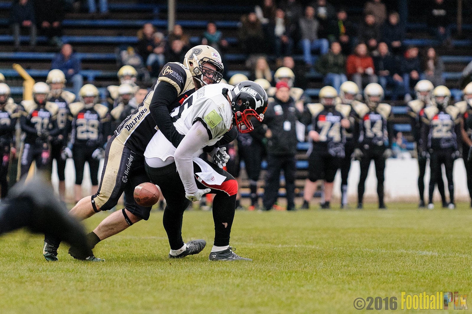 Pre-Season Game Paderborn Dolphins vs. Solingen Paladins - 20.03.2016 Pre-Season Game: Paderborn Dolphins vs. Solingen Paladins (21:6)