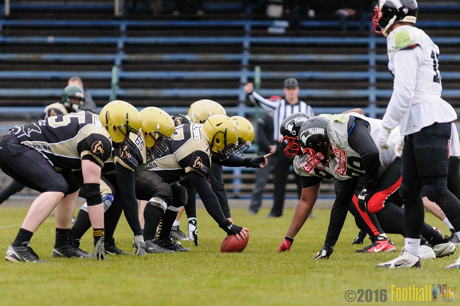 Pre-Season Game Paderborn Dolphins vs. Solingen Paladins - 20.03.2016 Pre-Season Game: Paderborn Dolphins vs. Solingen Paladins (21:6)