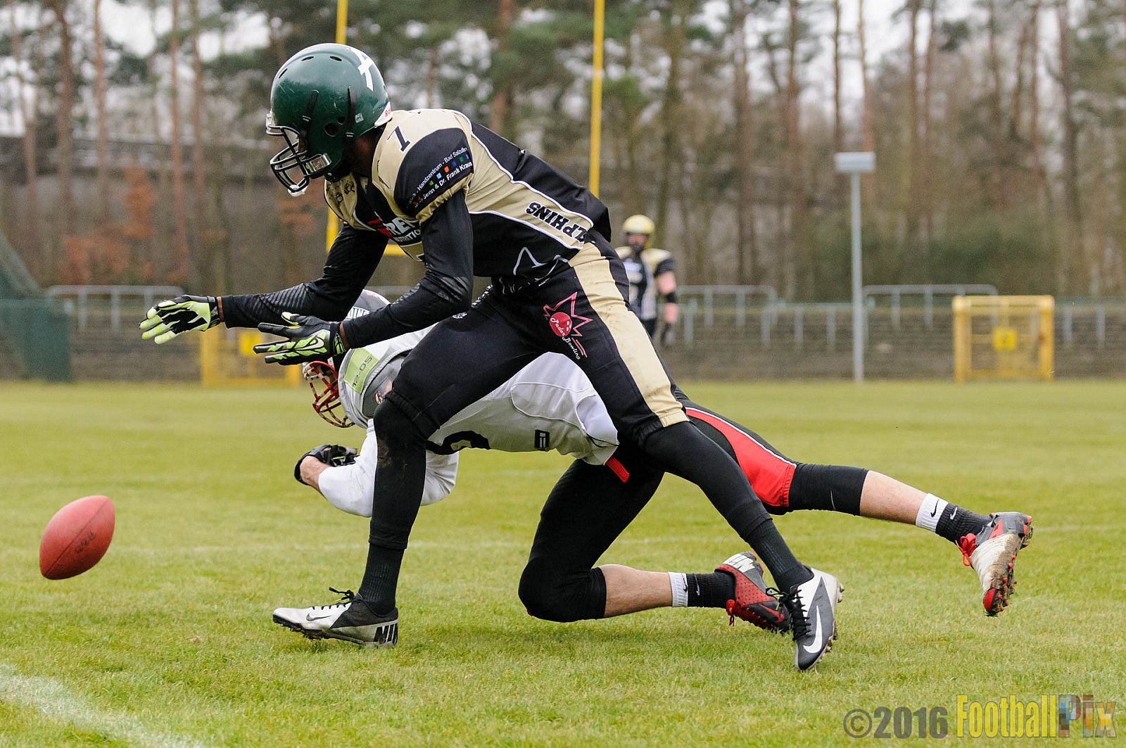 Pre-Season Game Paderborn Dolphins vs. Solingen Paladins - 20.03.2016 Pre-Season Game: Paderborn Dolphins vs. Solingen Paladins (21:6)