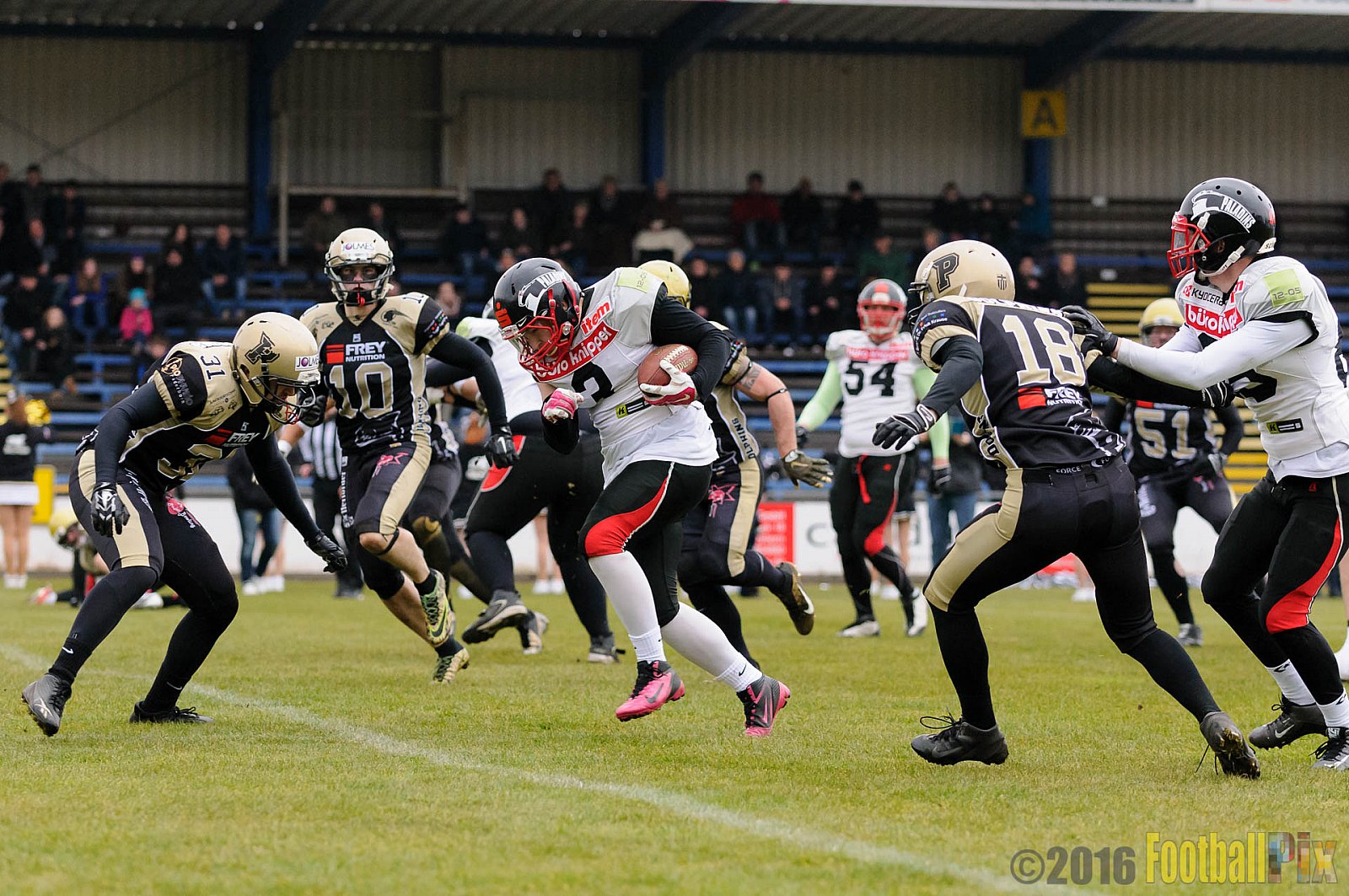 Pre-Season Game Paderborn Dolphins vs. Solingen Paladins - 20.03.2016 Pre-Season Game: Paderborn Dolphins vs. Solingen Paladins (21:6)