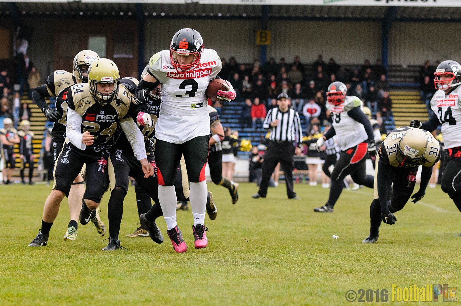 Pre-Season Game Paderborn Dolphins vs. Solingen Paladins - 20.03.2016 Pre-Season Game: Paderborn Dolphins vs. Solingen Paladins (21:6)