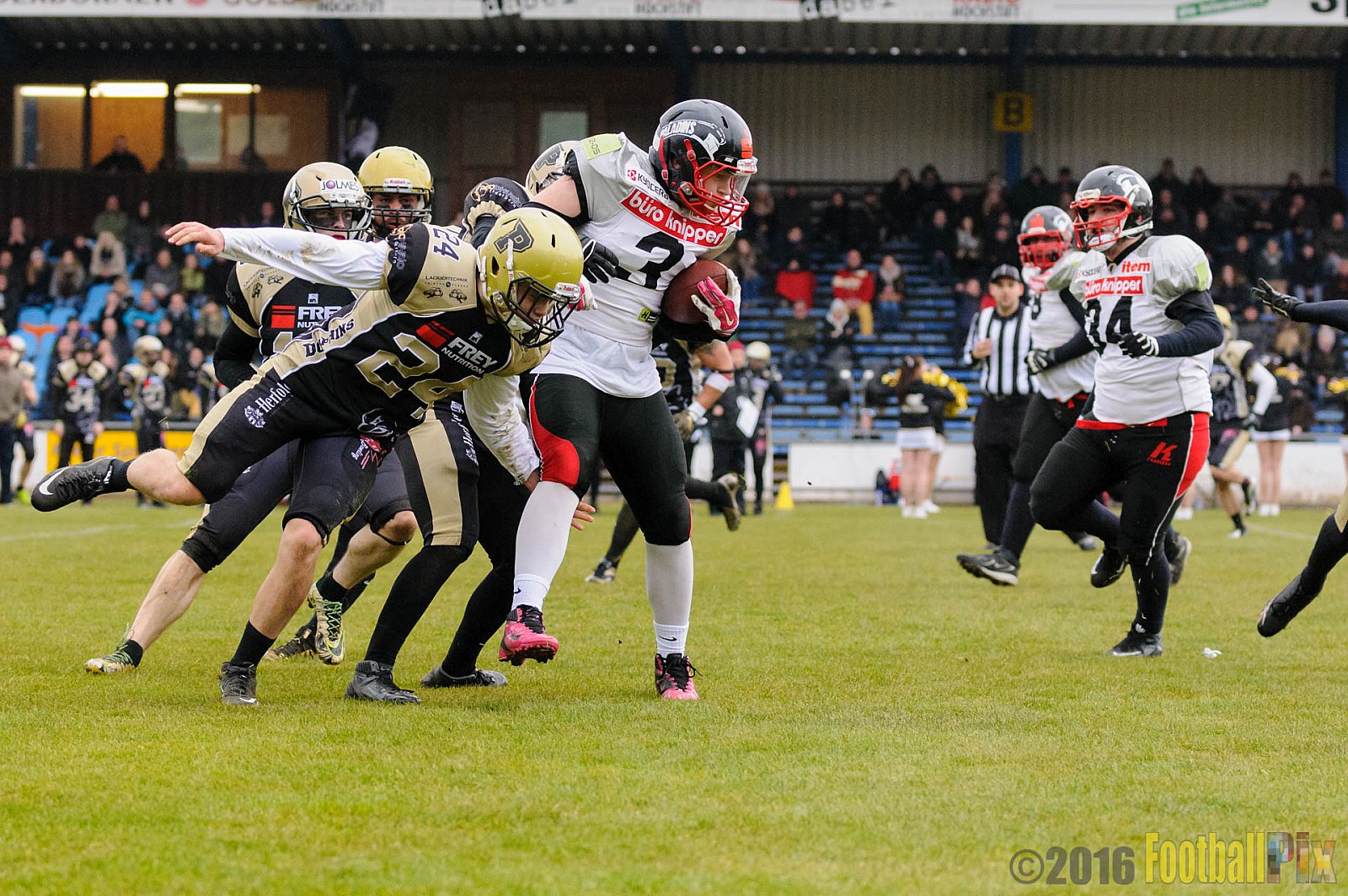 Pre-Season Game Paderborn Dolphins vs. Solingen Paladins - 20.03.2016 Pre-Season Game: Paderborn Dolphins vs. Solingen Paladins (21:6)