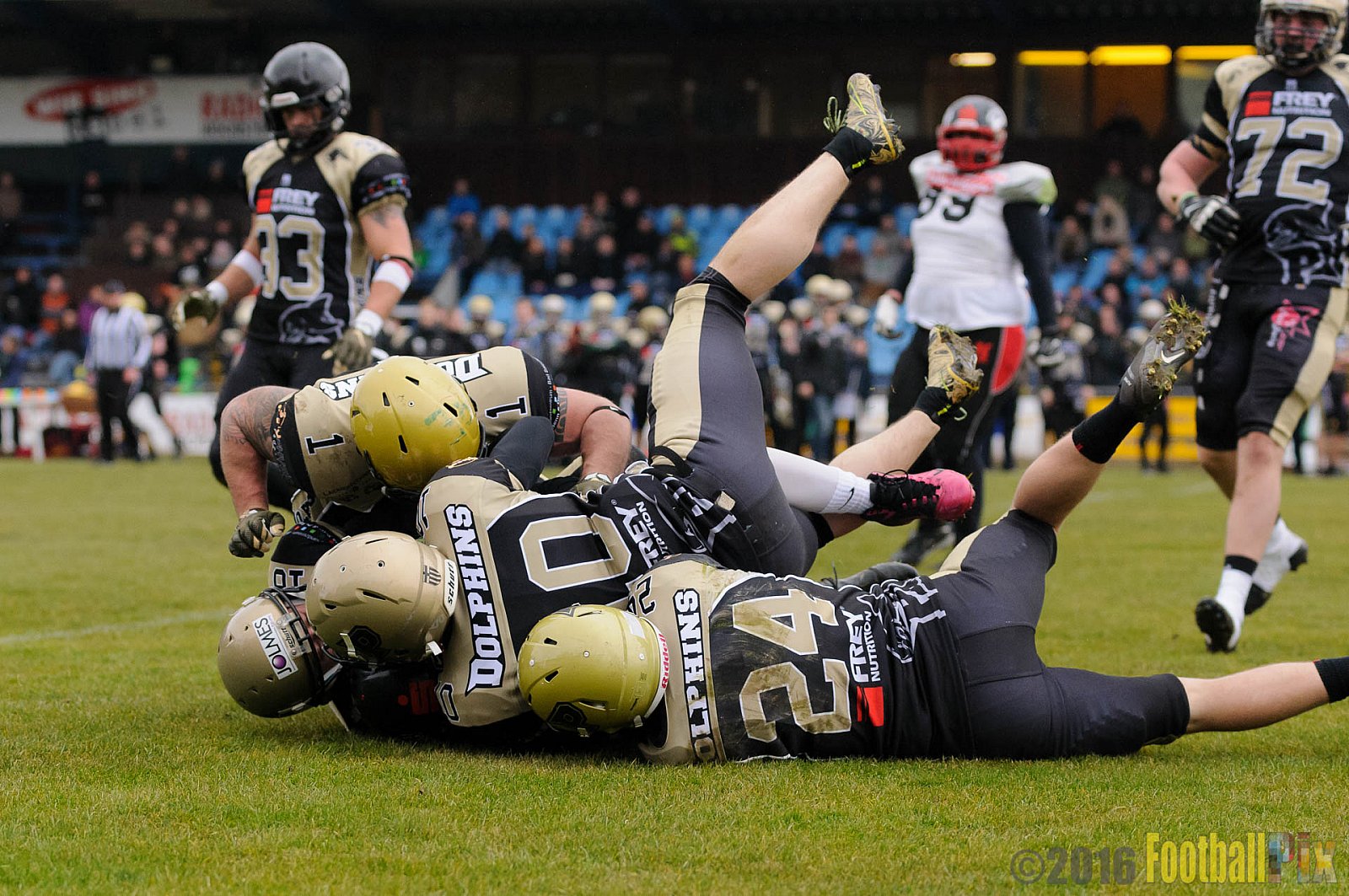 Pre-Season Game Paderborn Dolphins vs. Solingen Paladins - 20.03.2016 Pre-Season Game: Paderborn Dolphins vs. Solingen Paladins (21:6)