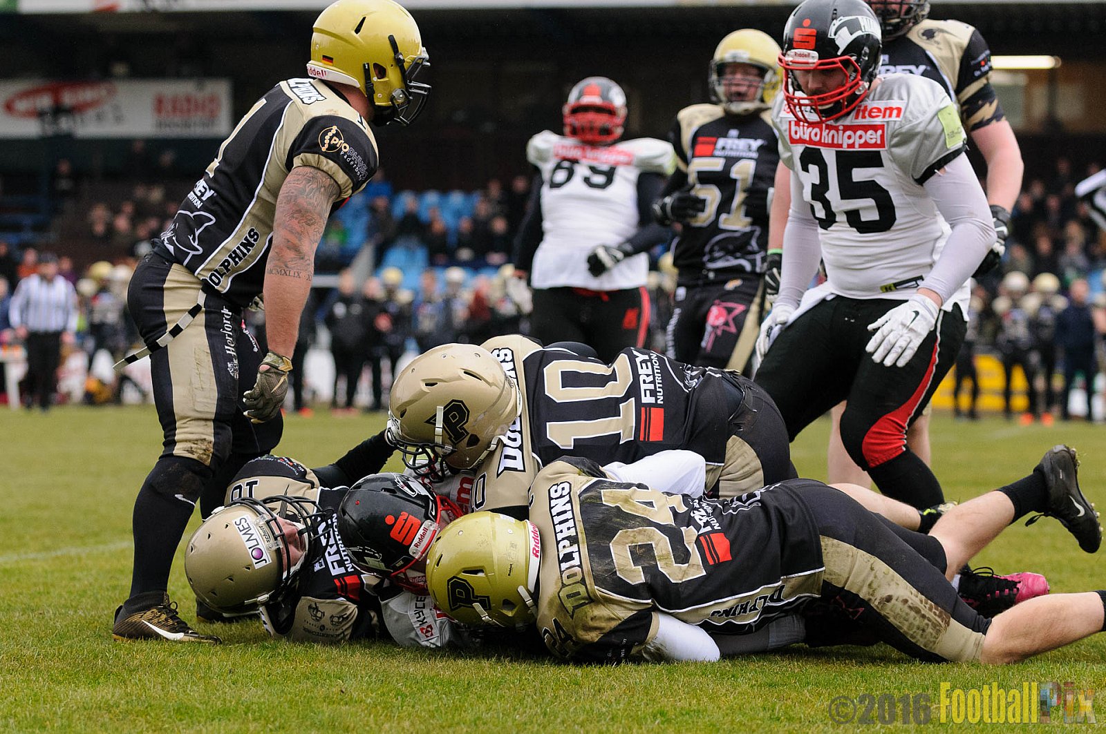 Pre-Season Game Paderborn Dolphins vs. Solingen Paladins - 20.03.2016 Pre-Season Game: Paderborn Dolphins vs. Solingen Paladins (21:6)