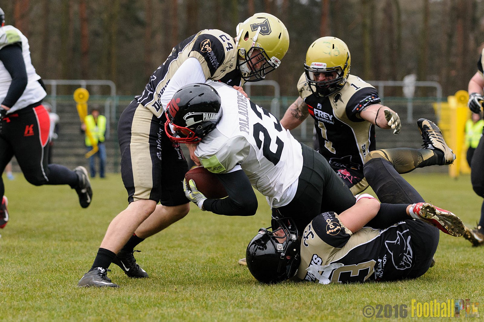 Pre-Season Game Paderborn Dolphins vs. Solingen Paladins - 20.03.2016 Pre-Season Game: Paderborn Dolphins vs. Solingen Paladins (21:6)