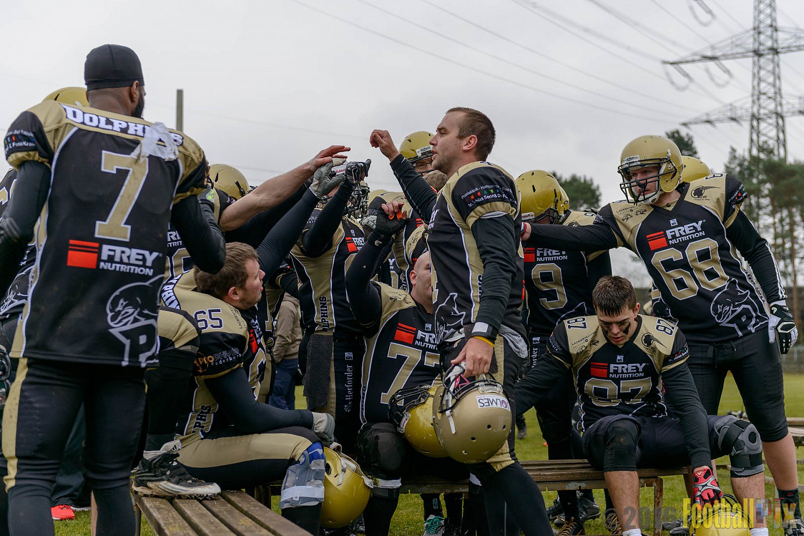 Pre-Season Game Paderborn Dolphins vs. Solingen Paladins - 20.03.2016 Pre-Season Game: Paderborn Dolphins vs. Solingen Paladins (21:6)