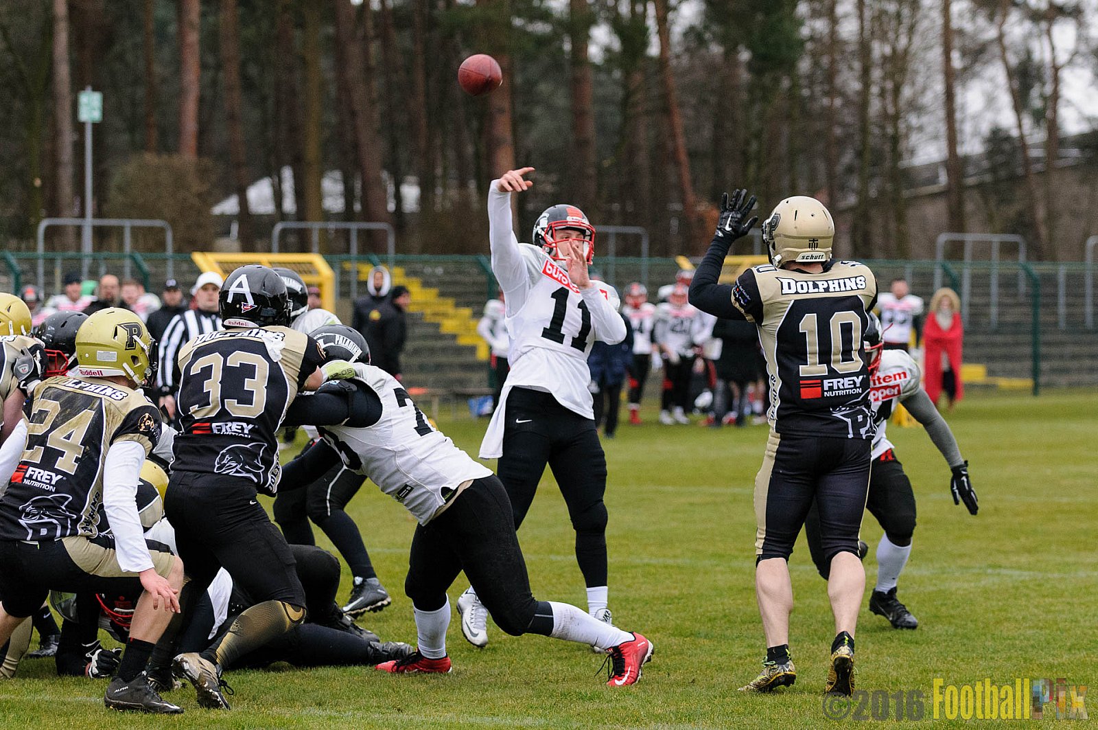 Pre-Season Game Paderborn Dolphins vs. Solingen Paladins - 20.03.2016 Pre-Season Game: Paderborn Dolphins vs. Solingen Paladins (21:6)