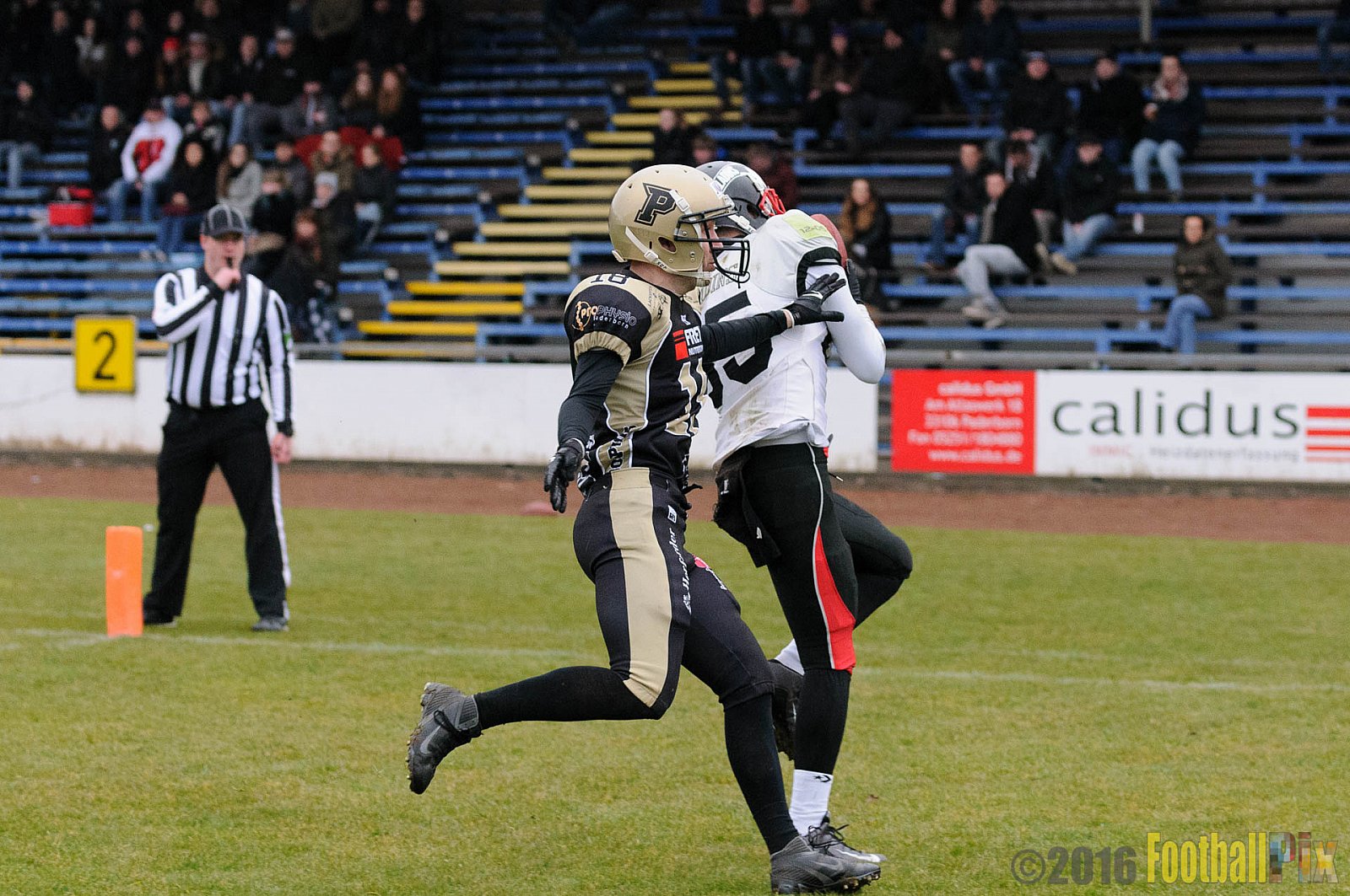 Pre-Season Game Paderborn Dolphins vs. Solingen Paladins - 20.03.2016 Pre-Season Game: Paderborn Dolphins vs. Solingen Paladins (21:6)