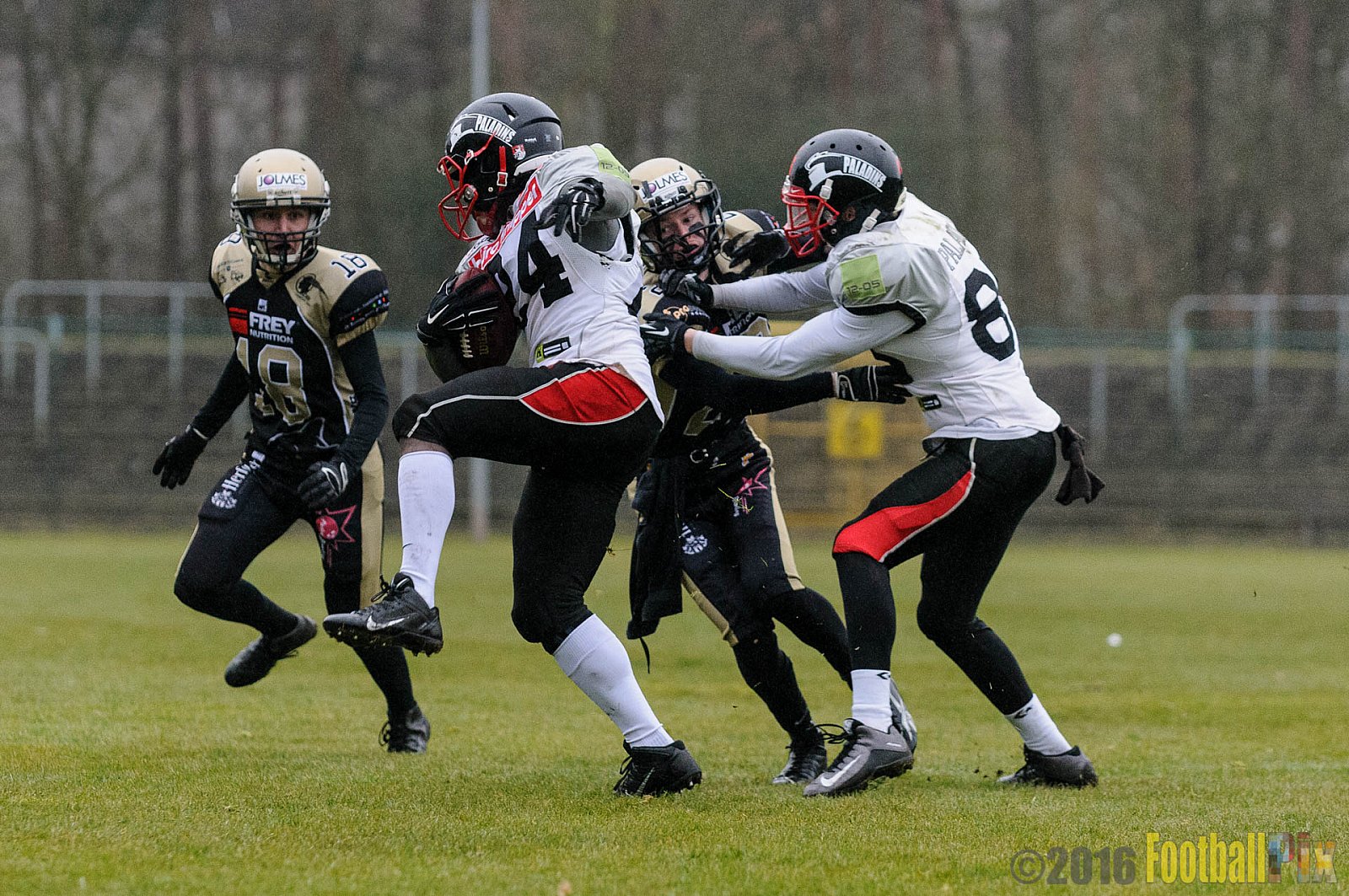 Pre-Season Game Paderborn Dolphins vs. Solingen Paladins - 20.03.2016 Pre-Season Game: Paderborn Dolphins vs. Solingen Paladins (21:6)
