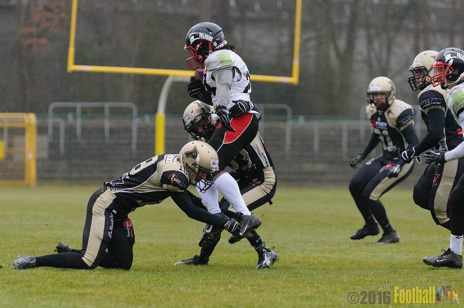 Pre-Season Game Paderborn Dolphins vs. Solingen Paladins - 20.03.2016 Pre-Season Game: Paderborn Dolphins vs. Solingen Paladins (21:6)