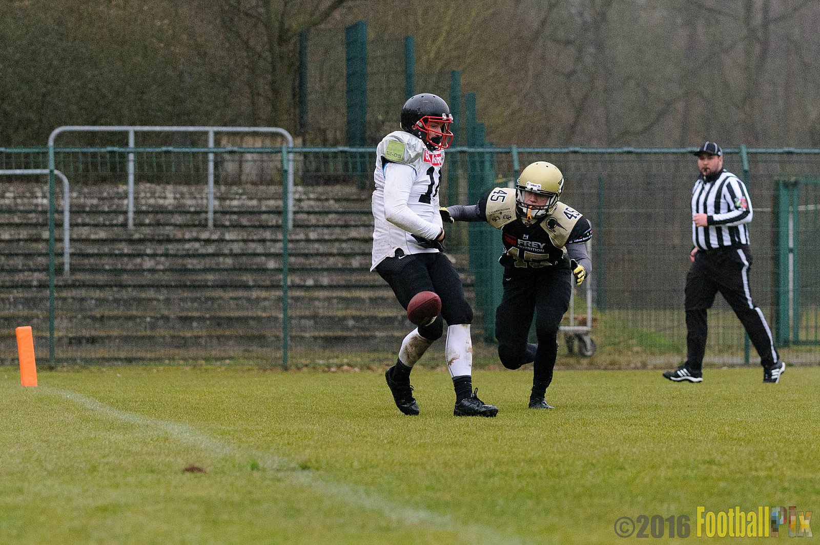 Pre-Season Game Paderborn Dolphins vs. Solingen Paladins - 20.03.2016 Pre-Season Game: Paderborn Dolphins vs. Solingen Paladins (21:6)