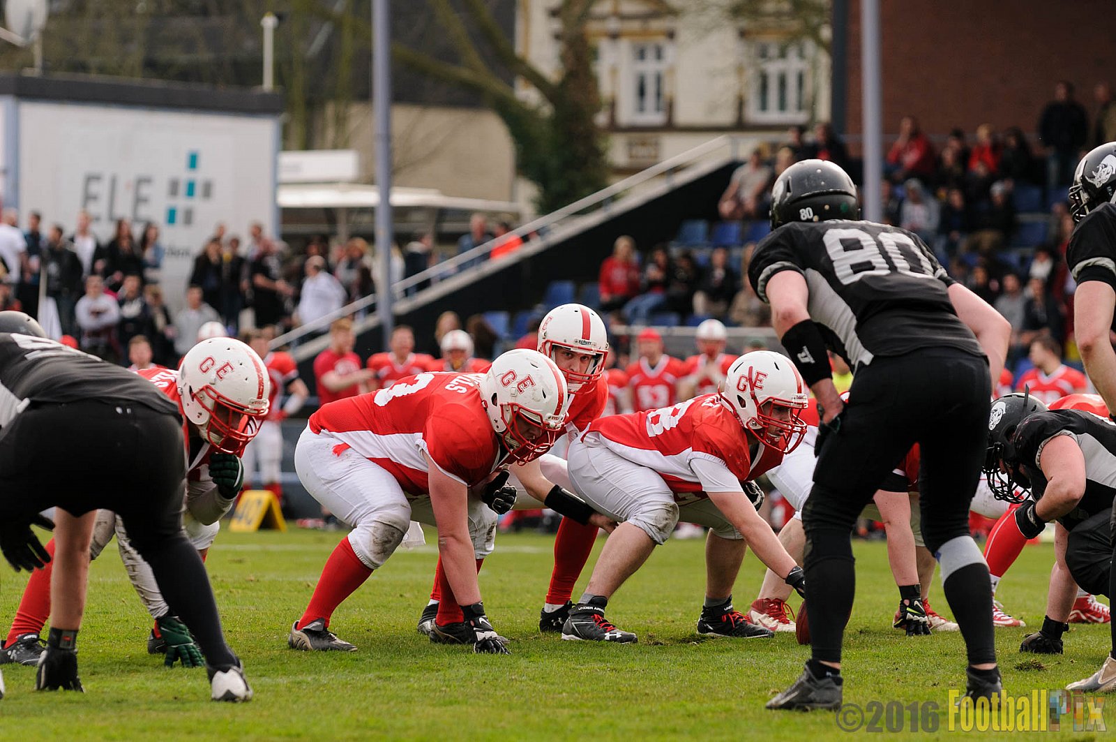 Pre-Season Game Gelsenkirchen Devils vs. Trier Stampers - 02.04.2016 Pre-Season Game: Gelsenkirchen Devils vs. Trier Stampers (34:6)
