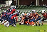 Recklinghausen Chargers vs. Sauerland Mustangs - 16.04.2016 LL NRW: Recklinghausen Chargers vs. Sauerland Mustangs (12:7)