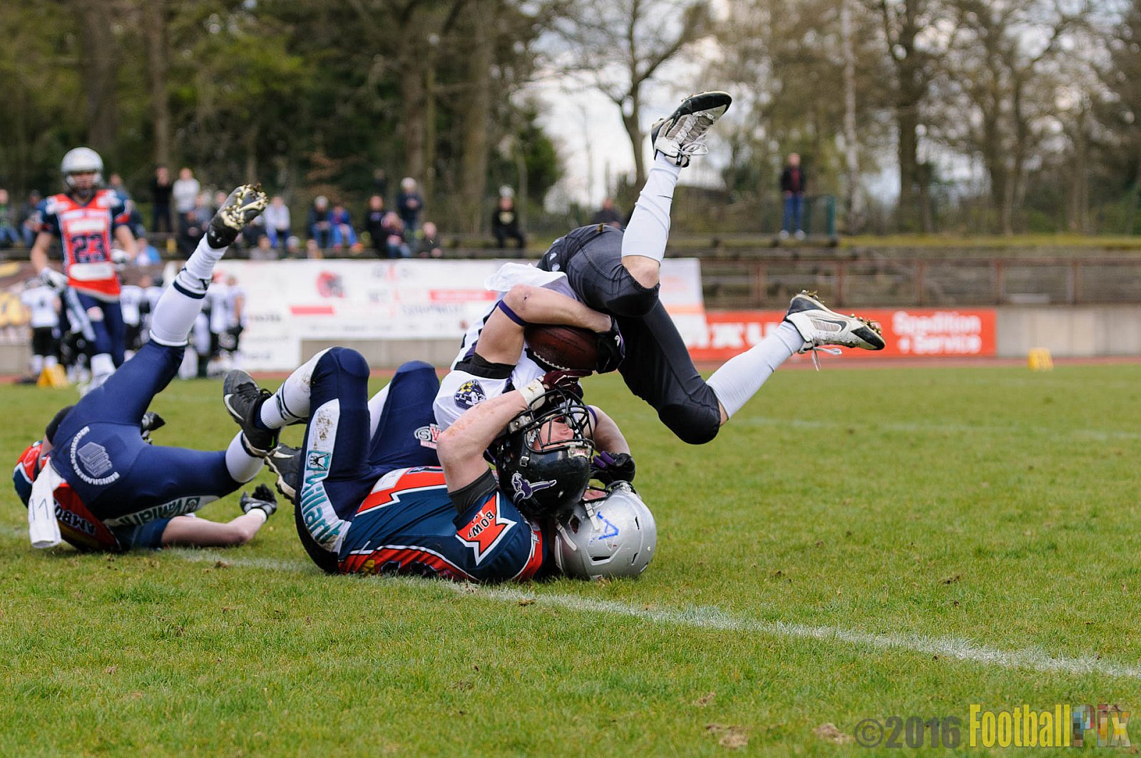Remscheid Amboss vs. Langenfeld Longhorns - 17.04.2016 RL NRW: Remscheid Amboss vs. Langenfeld Longhorns (32:24)