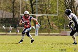 Remscheid Amboss vs. Langenfeld Longhorns - 17.04.2016 RL NRW: Remscheid Amboss vs. Langenfeld Longhorns (32:24)