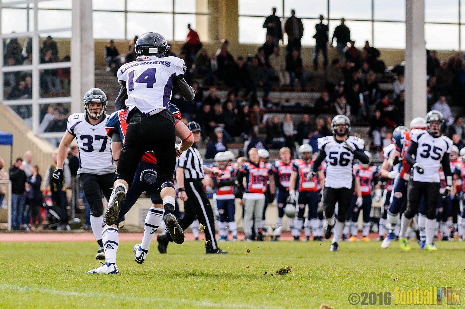 Remscheid Amboss vs. Langenfeld Longhorns - 17.04.2016 RL NRW: Remscheid Amboss vs. Langenfeld Longhorns (32:24)