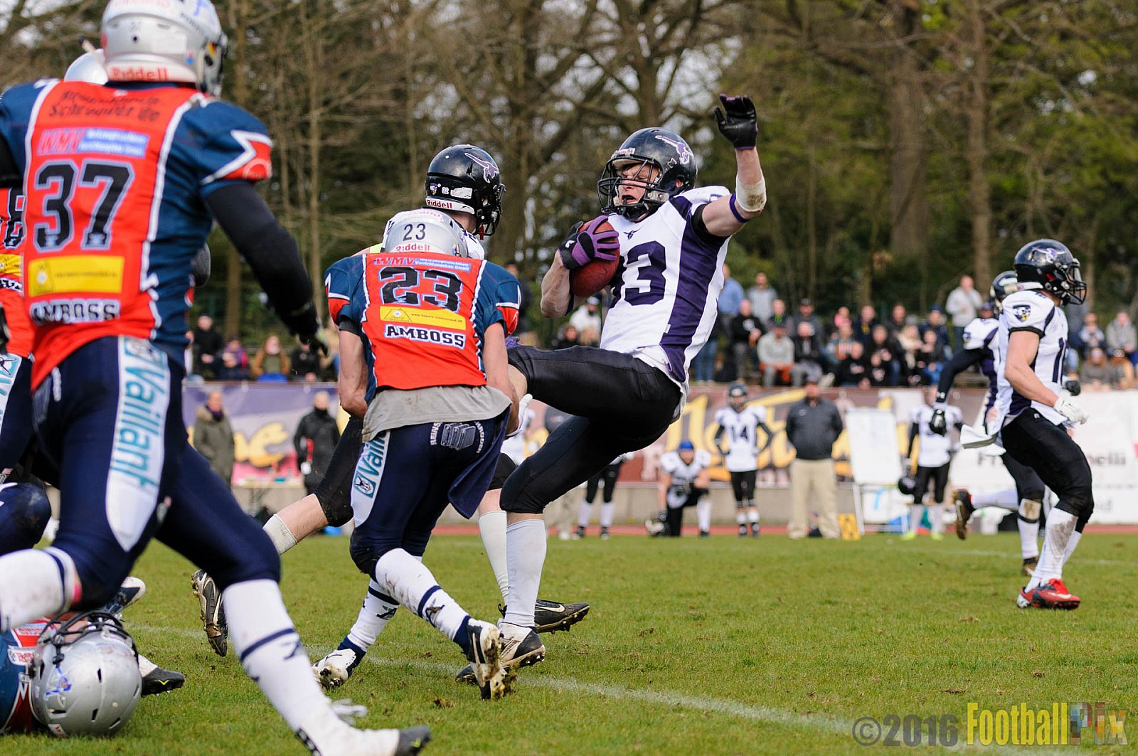 Remscheid Amboss vs. Langenfeld Longhorns - 17.04.2016 RL NRW: Remscheid Amboss vs. Langenfeld Longhorns (32:24)