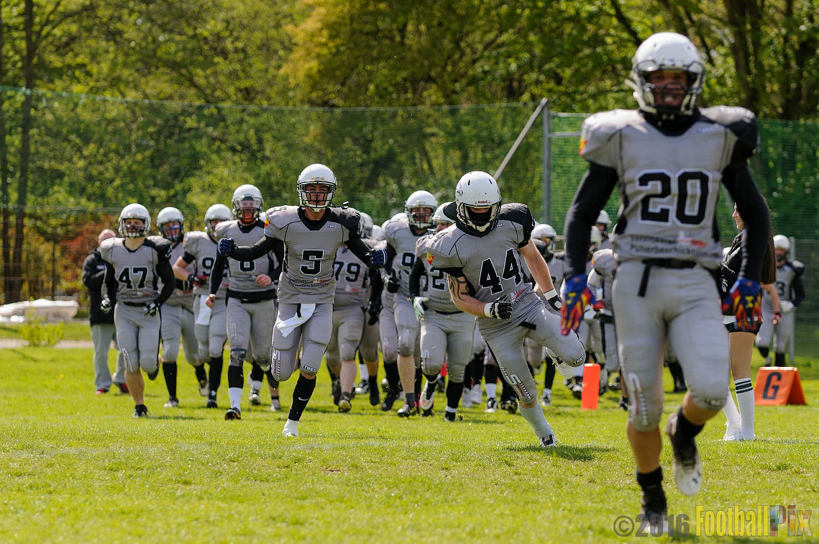 Mönchengladbach Wolfpack vs. Münster Mammuts - 24.04.2016 OL NRW: Mönchengladbach Wolfpack vs. Münster Mammuts (6:6)