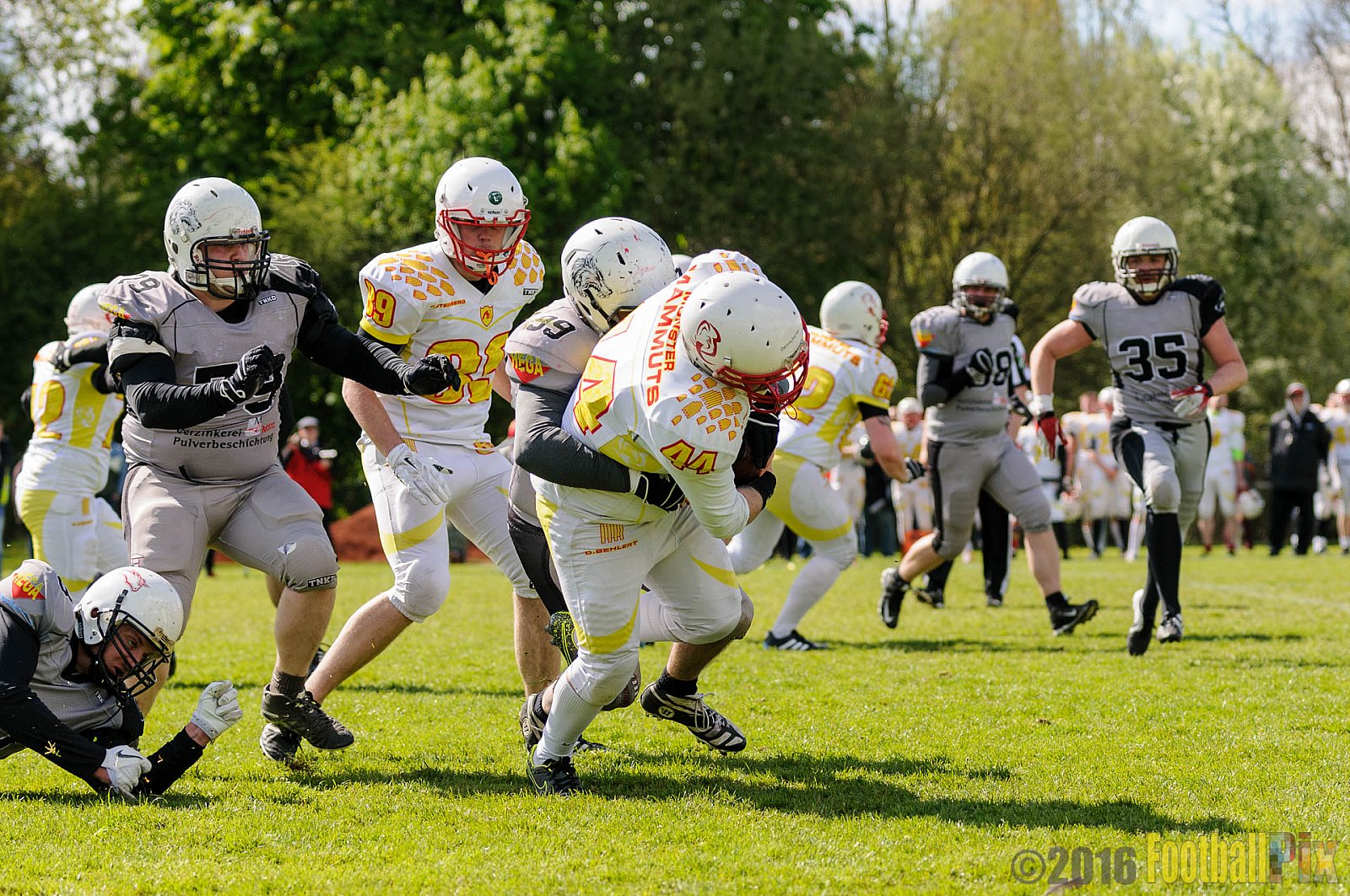 Mönchengladbach Wolfpack vs. Münster Mammuts - 24.04.2016 OL NRW: Mönchengladbach Wolfpack vs. Münster Mammuts (6:6)