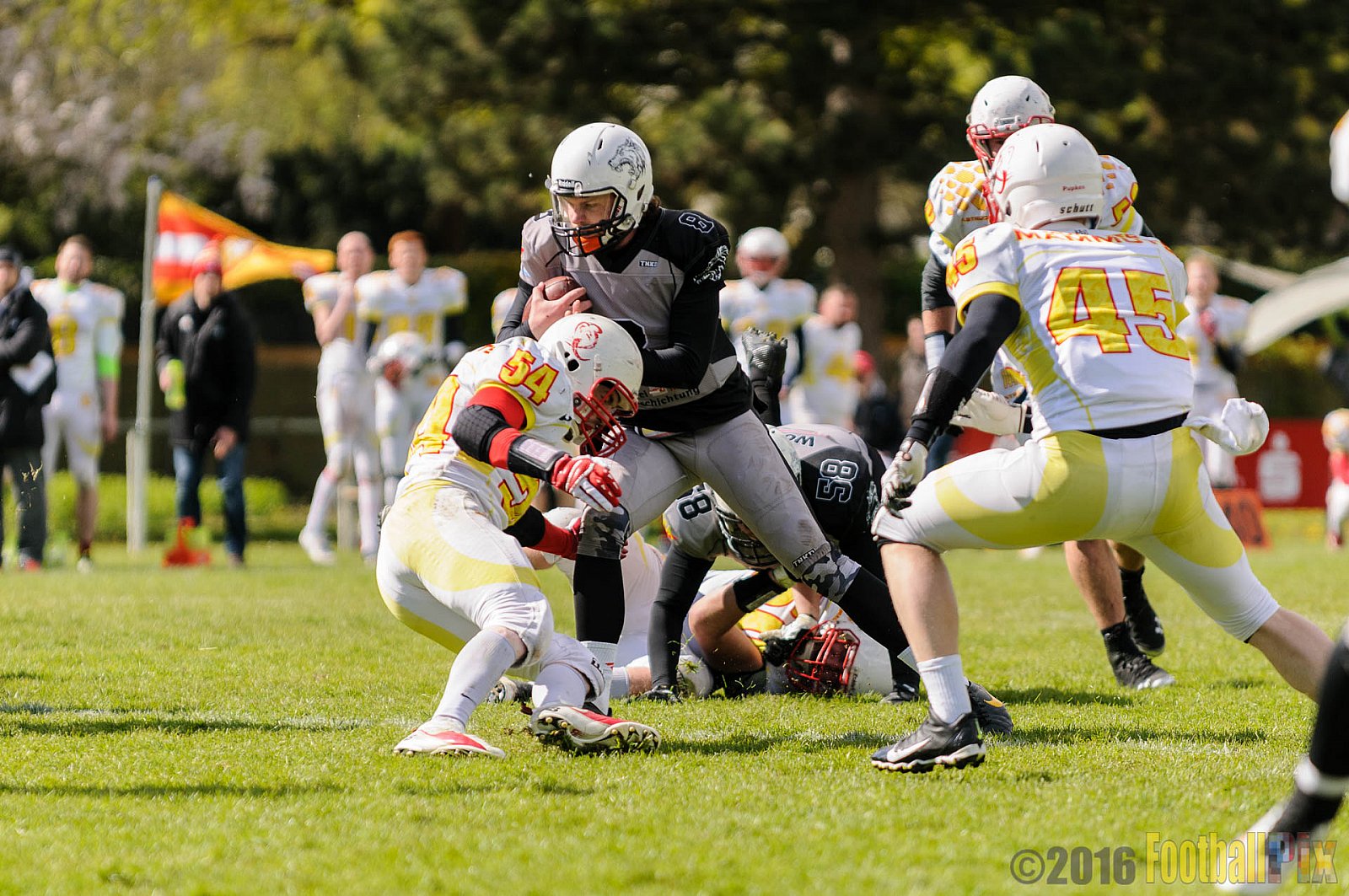 Mönchengladbach Wolfpack vs. Münster Mammuts - 24.04.2016 OL NRW: Mönchengladbach Wolfpack vs. Münster Mammuts (6:6)