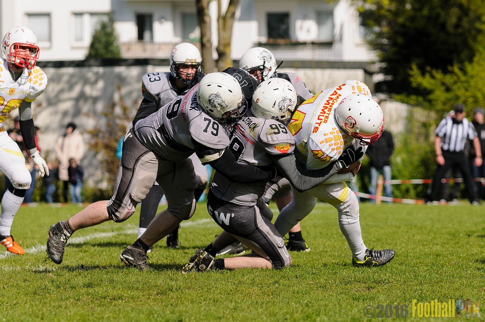 Mönchengladbach Wolfpack vs. Münster Mammuts - 24.04.2016 OL NRW: Mönchengladbach Wolfpack vs. Münster Mammuts (6:6)