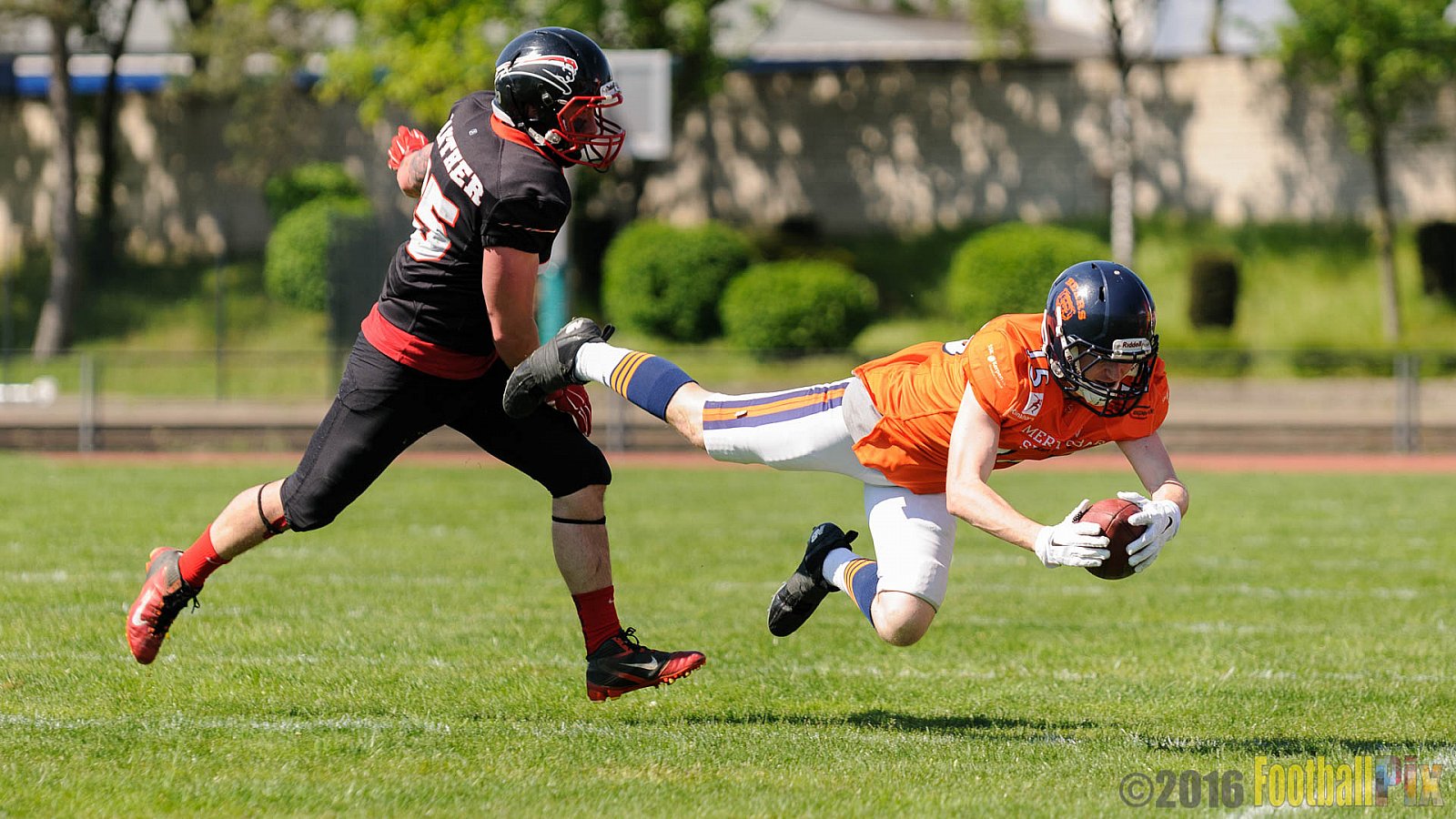 Düsseldorf Panther Prospects vs. Kerpen Bears - 08.05.2016 VL NRW: Düsseldorf Panther Prospects vs. Kerpen Bears (7:34)