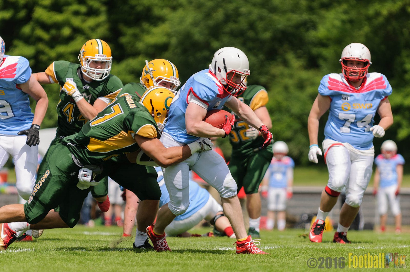 Cologne Crocodiles vs. Bonn Gamecocks - 15.05.2016 GFL2: Cologne Crocodiles vs. Bonn Gamecocks (6:0)
