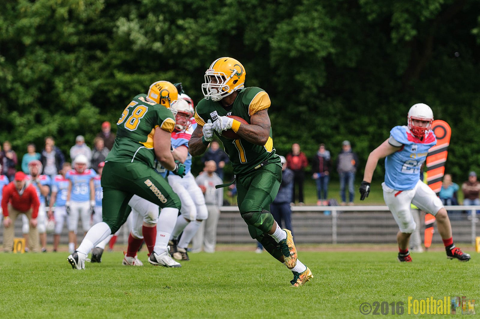 Cologne Crocodiles vs. Bonn Gamecocks - 15.05.2016 GFL2: Cologne Crocodiles vs. Bonn Gamecocks (6:0)