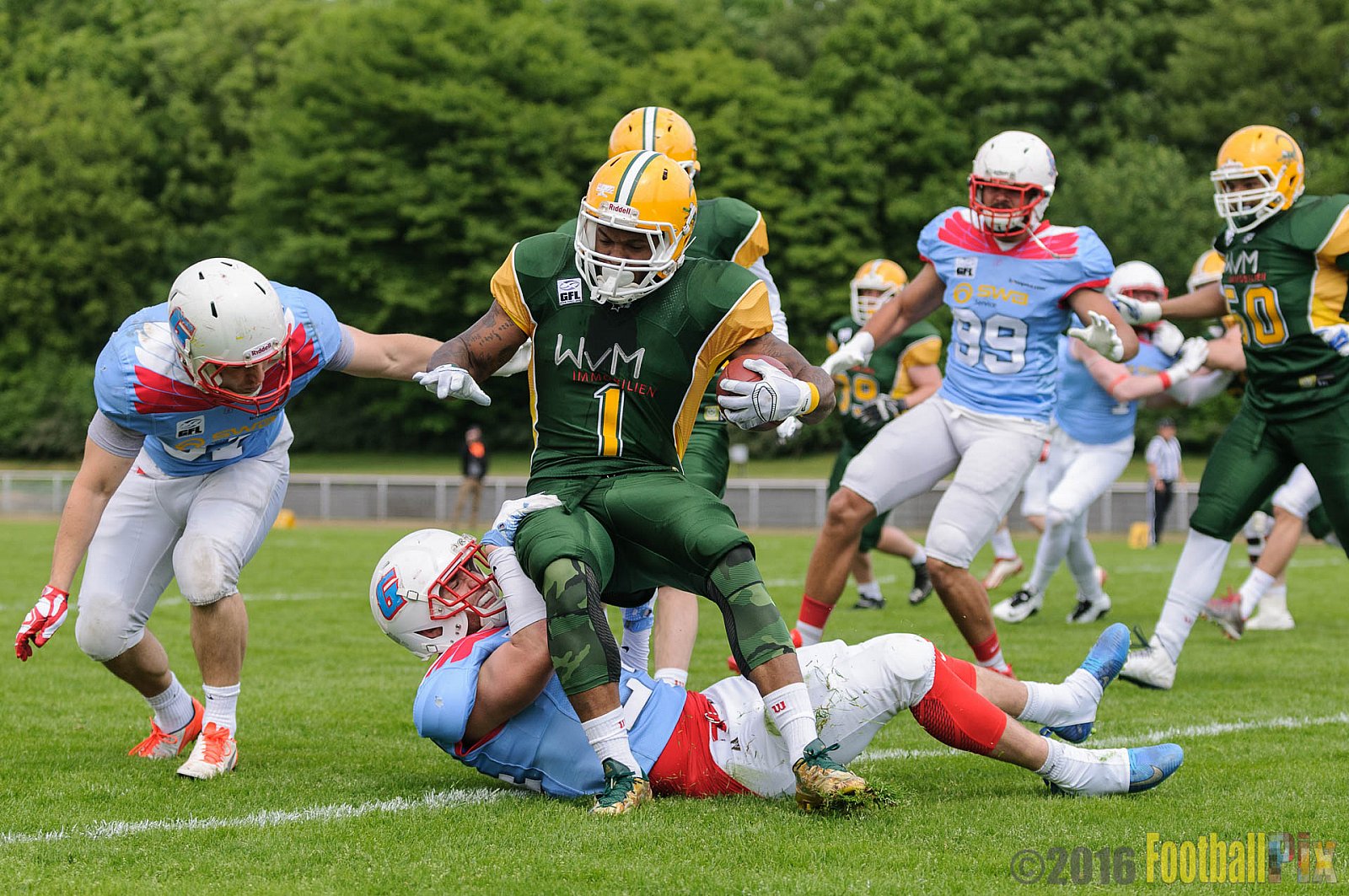 Cologne Crocodiles vs. Bonn Gamecocks - 15.05.2016 GFL2: Cologne Crocodiles vs. Bonn Gamecocks (6:0)