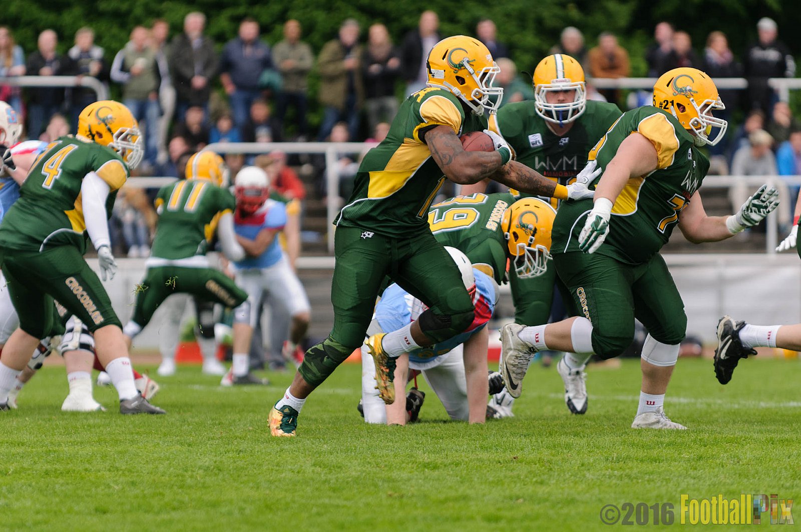 Cologne Crocodiles vs. Bonn Gamecocks - 15.05.2016 GFL2: Cologne Crocodiles vs. Bonn Gamecocks (6:0)