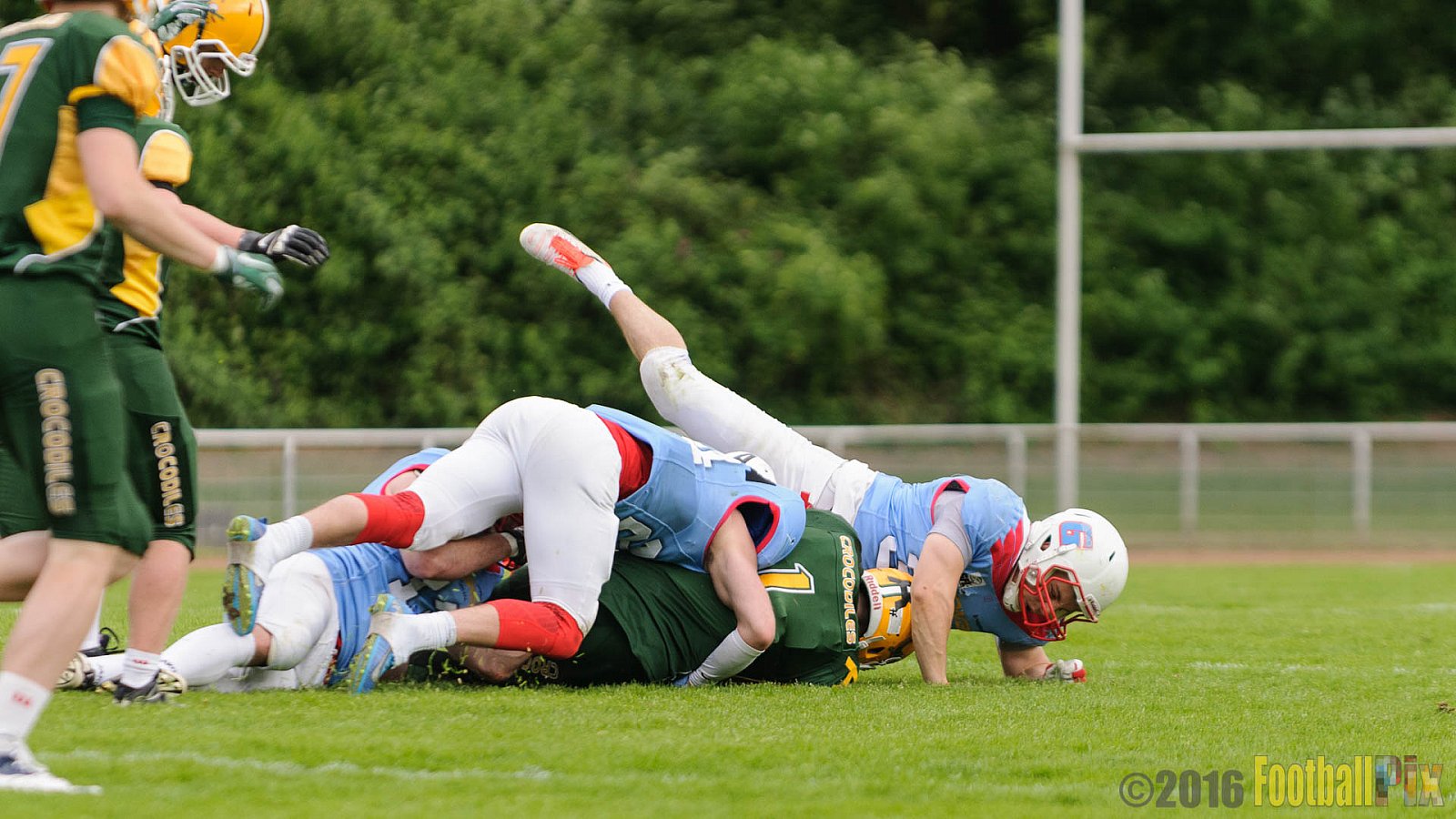 Cologne Crocodiles vs. Bonn Gamecocks - 15.05.2016 GFL2: Cologne Crocodiles vs. Bonn Gamecocks (6:0)