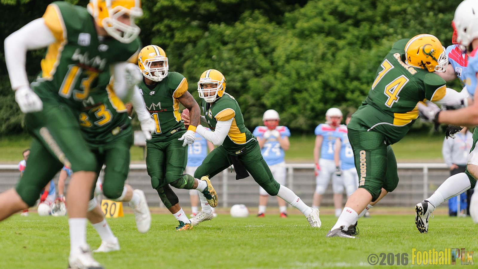Cologne Crocodiles vs. Bonn Gamecocks - 15.05.2016 GFL2: Cologne Crocodiles vs. Bonn Gamecocks (6:0)
