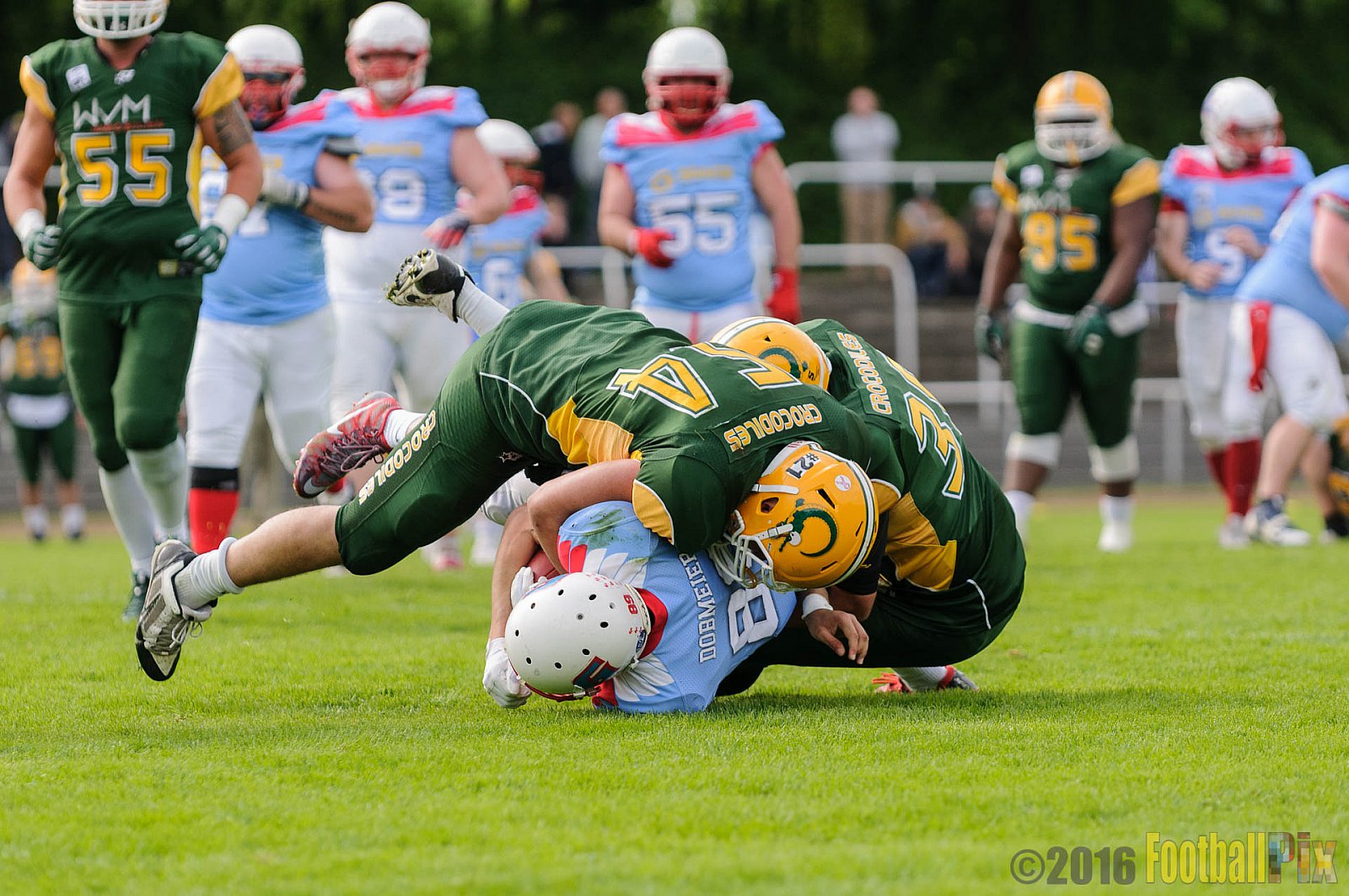 Cologne Crocodiles vs. Bonn Gamecocks - 15.05.2016 GFL2: Cologne Crocodiles vs. Bonn Gamecocks (6:0)