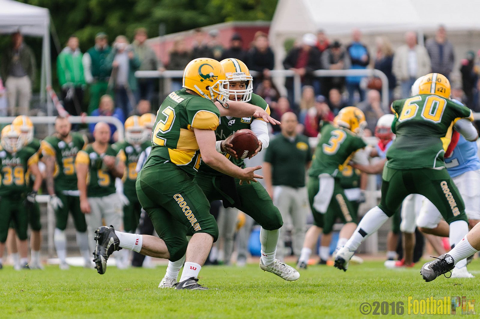 Cologne Crocodiles vs. Bonn Gamecocks - 15.05.2016 GFL2: Cologne Crocodiles vs. Bonn Gamecocks (6:0)